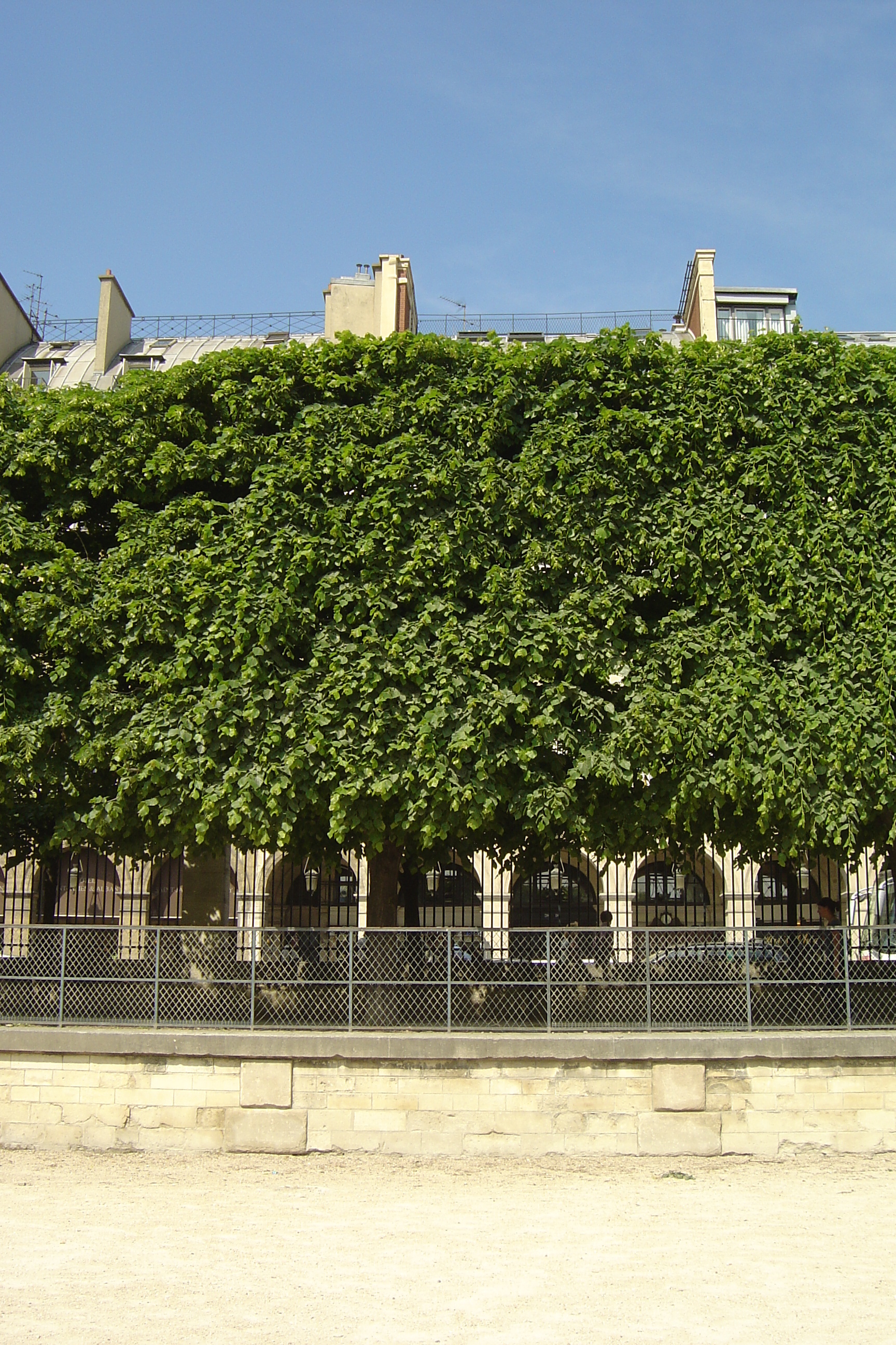 Picture France Paris Garden of Tuileries 2007-05 17 - History Garden of Tuileries