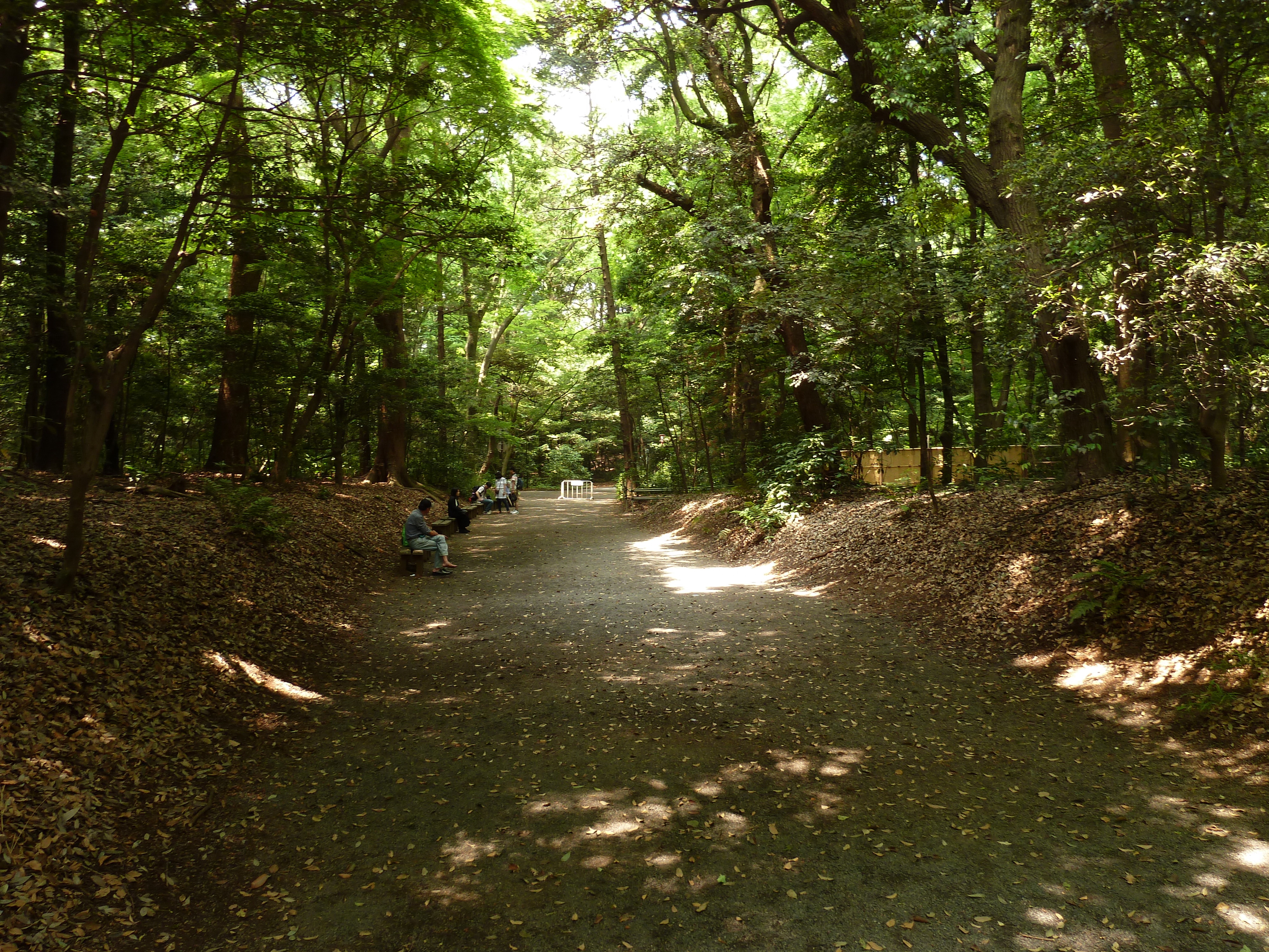 Picture Japan Tokyo Yoyogi Park 2010-06 16 - Center Yoyogi Park