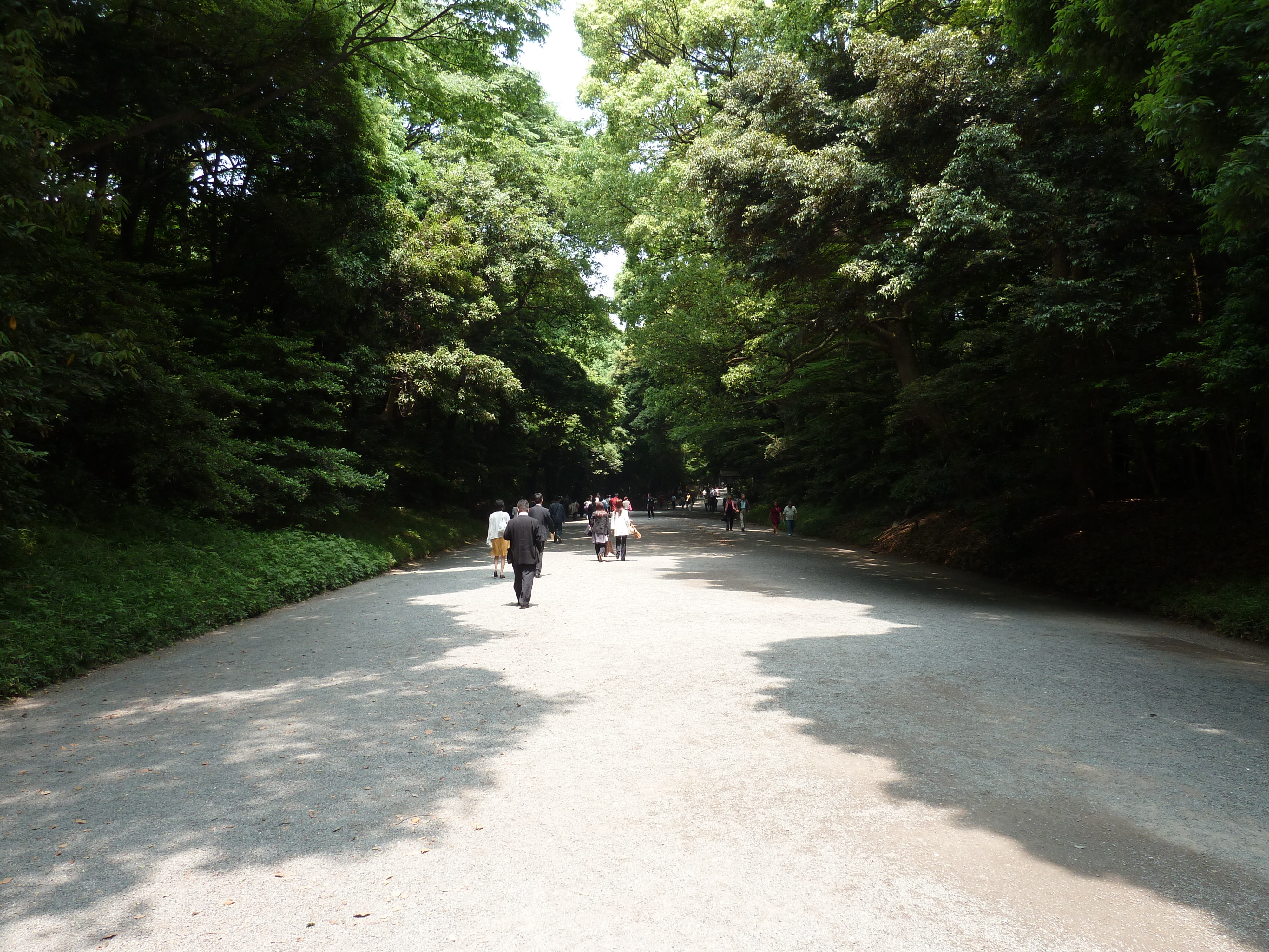 Picture Japan Tokyo Yoyogi Park 2010-06 15 - Tour Yoyogi Park