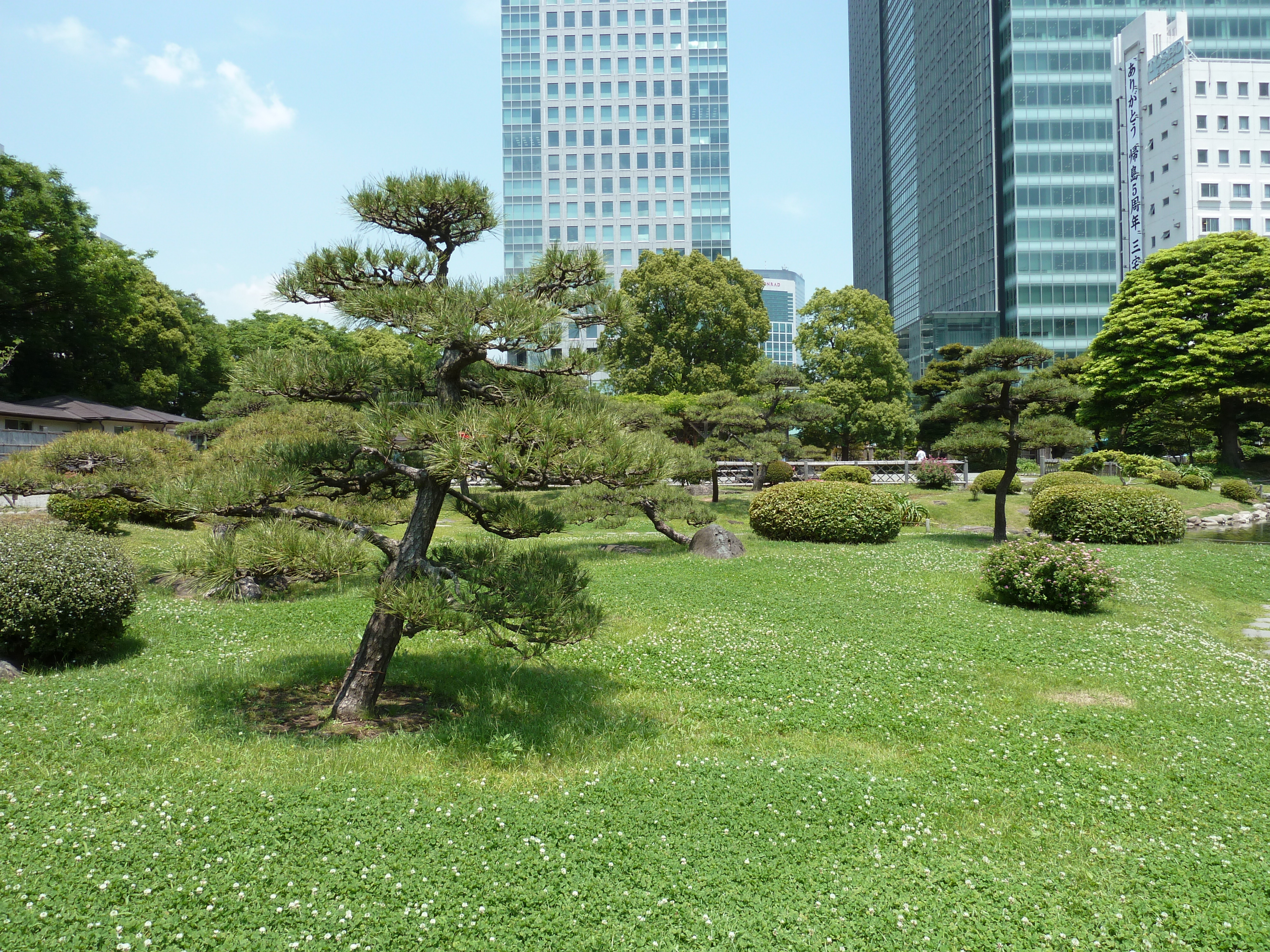 Picture Japan Tokyo Kyu Shiba rikyu Gardens 2010-06 18 - Tour Kyu Shiba rikyu Gardens