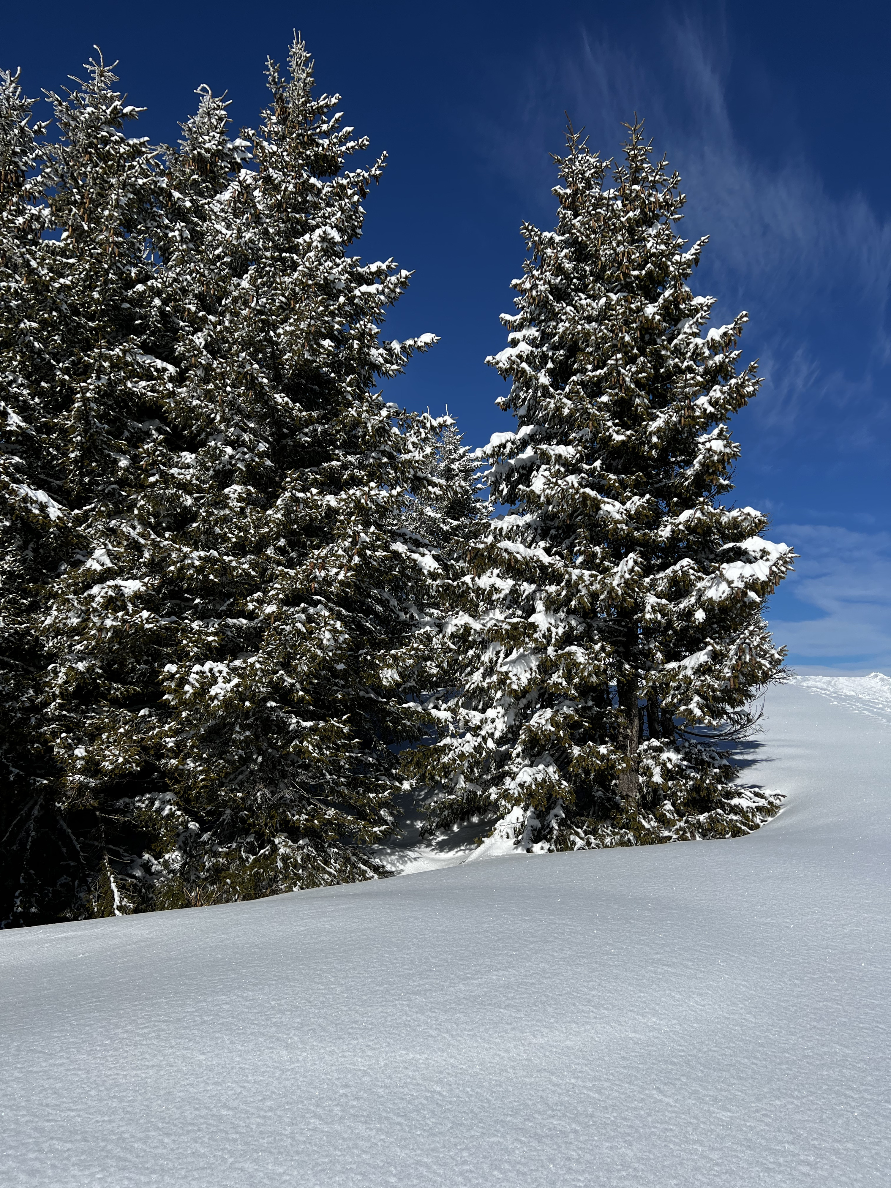 Picture France Megeve 2022-02 25 - Center Megeve