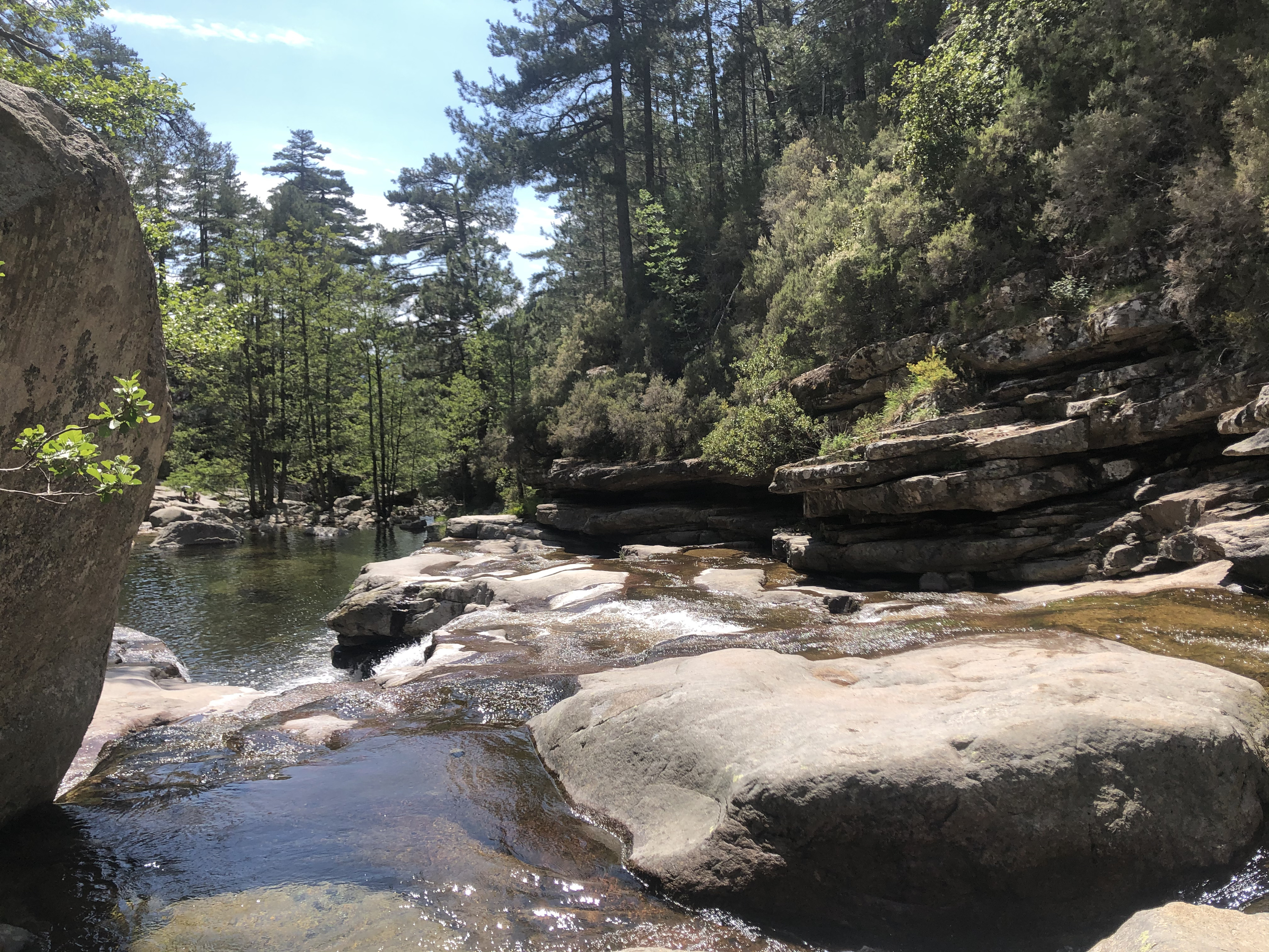 Picture France Corsica Aitone Forest 2021-06 8 - Around Aitone Forest