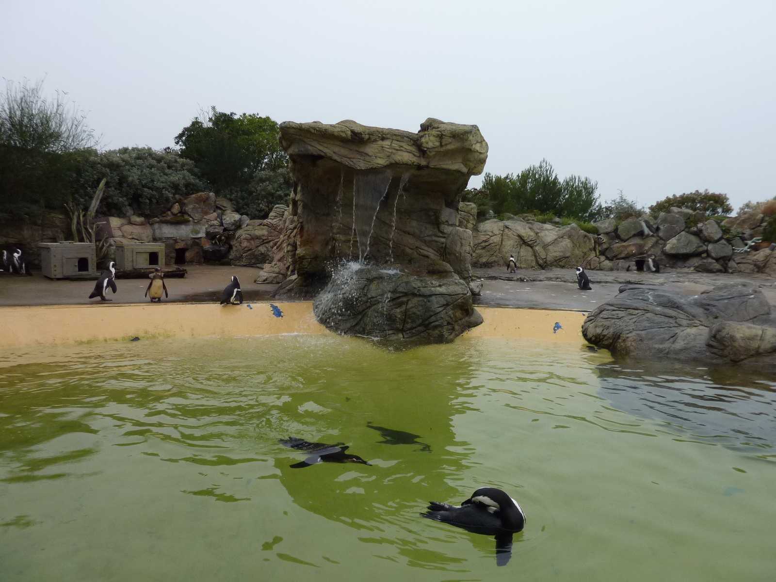 Picture France Le Croisic Ocearium 2009-10 5 - Discovery Ocearium