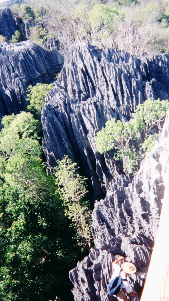 Picture Madagascar Tsingy 1999-10 22 - Journey Tsingy