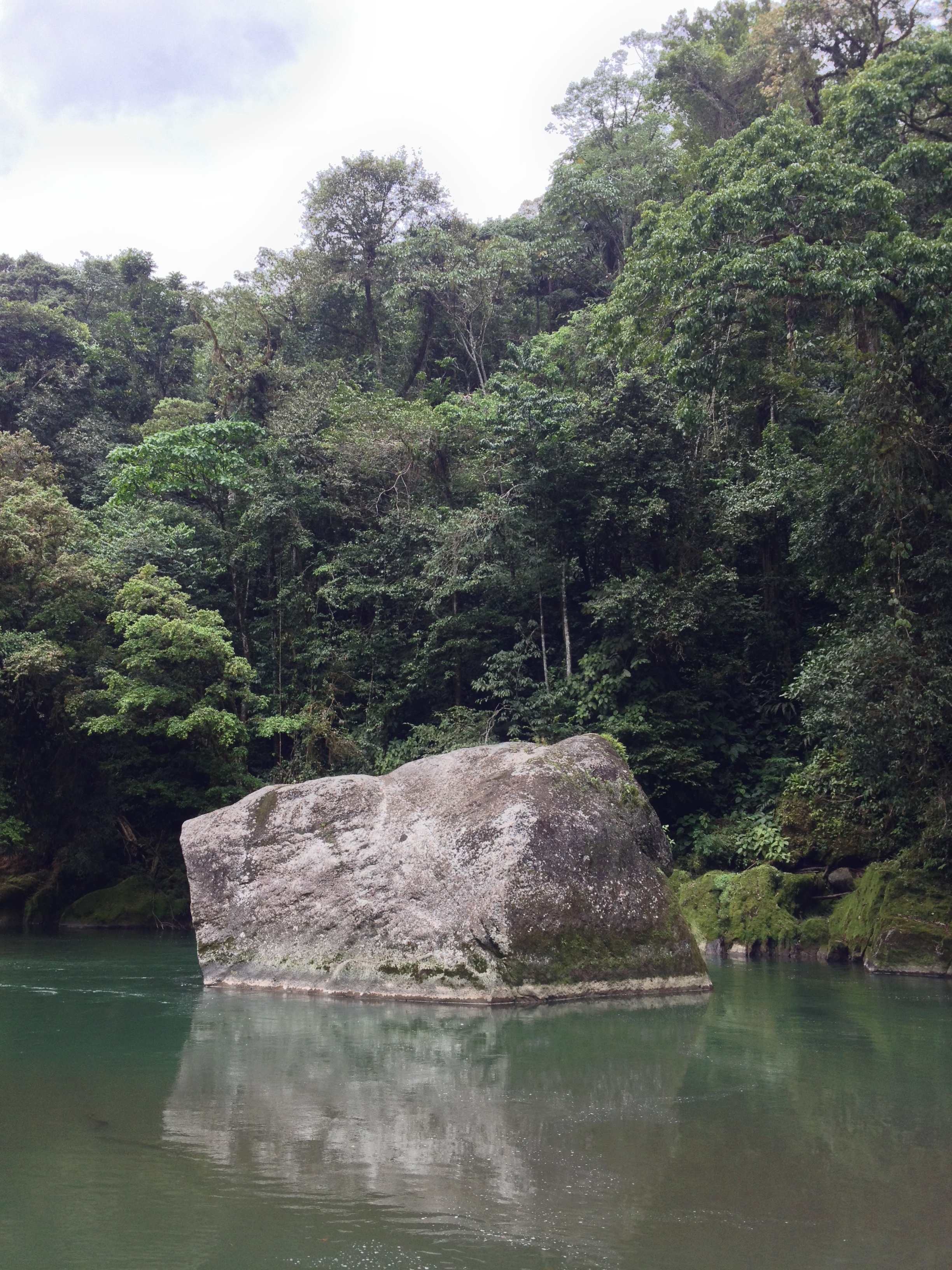 Picture Costa Rica Pacuare River 2015-03 268 - Tours Pacuare River