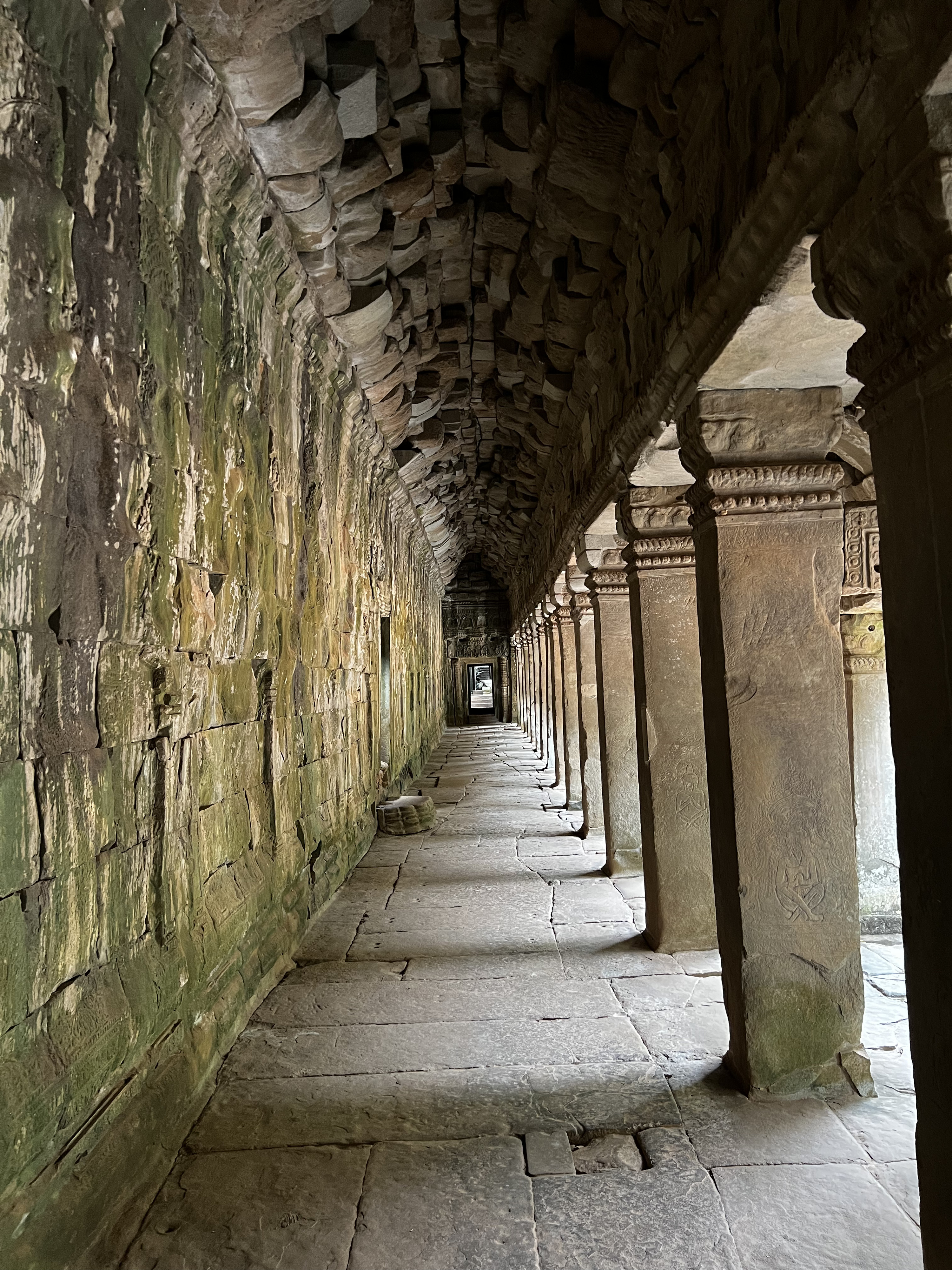 Picture Cambodia Siem Reap Ta Prohm 2023-01 120 - Recreation Ta Prohm