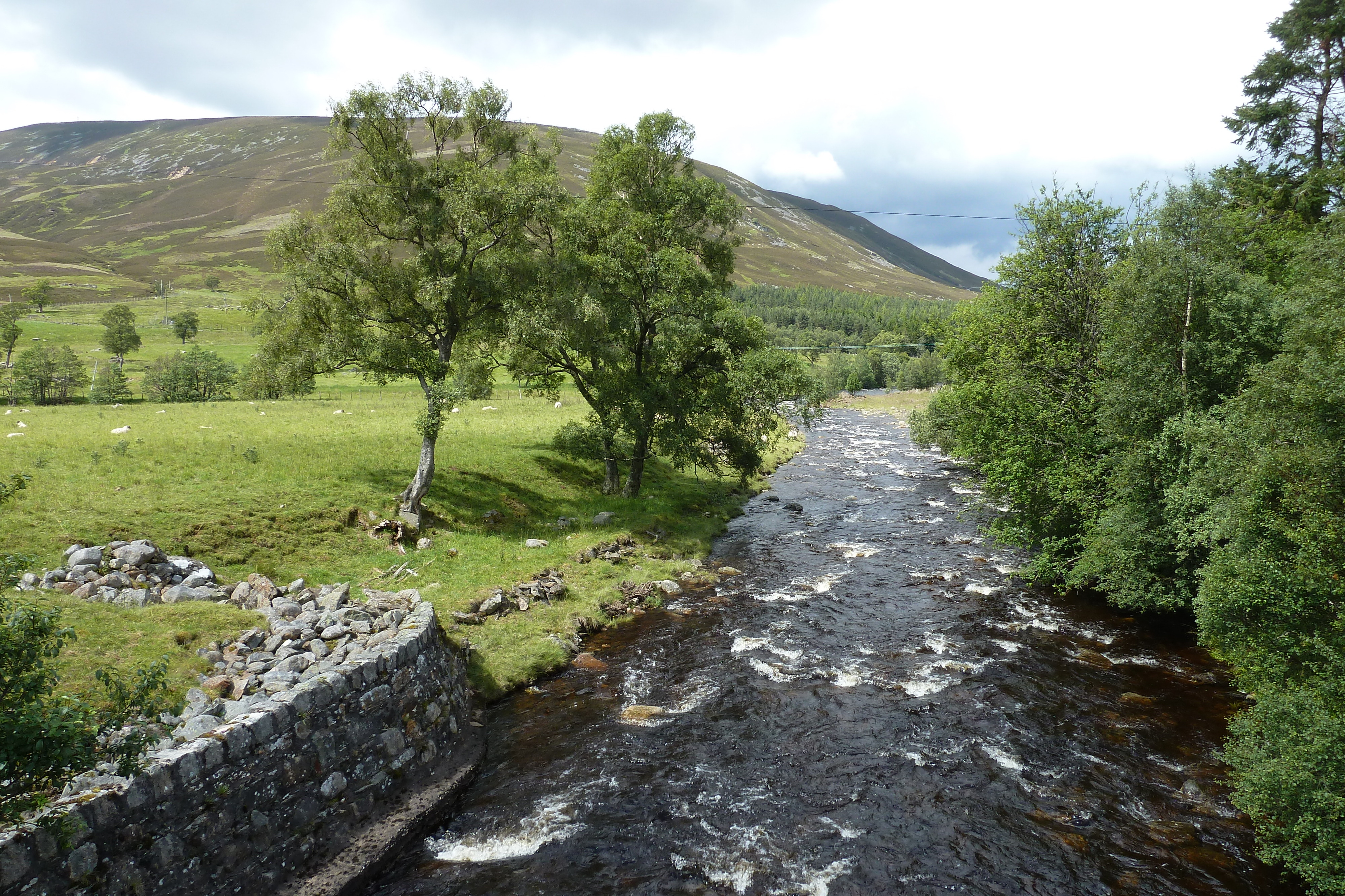 Picture United Kingdom Cairngorms National Park 2011-07 94 - Tour Cairngorms National Park