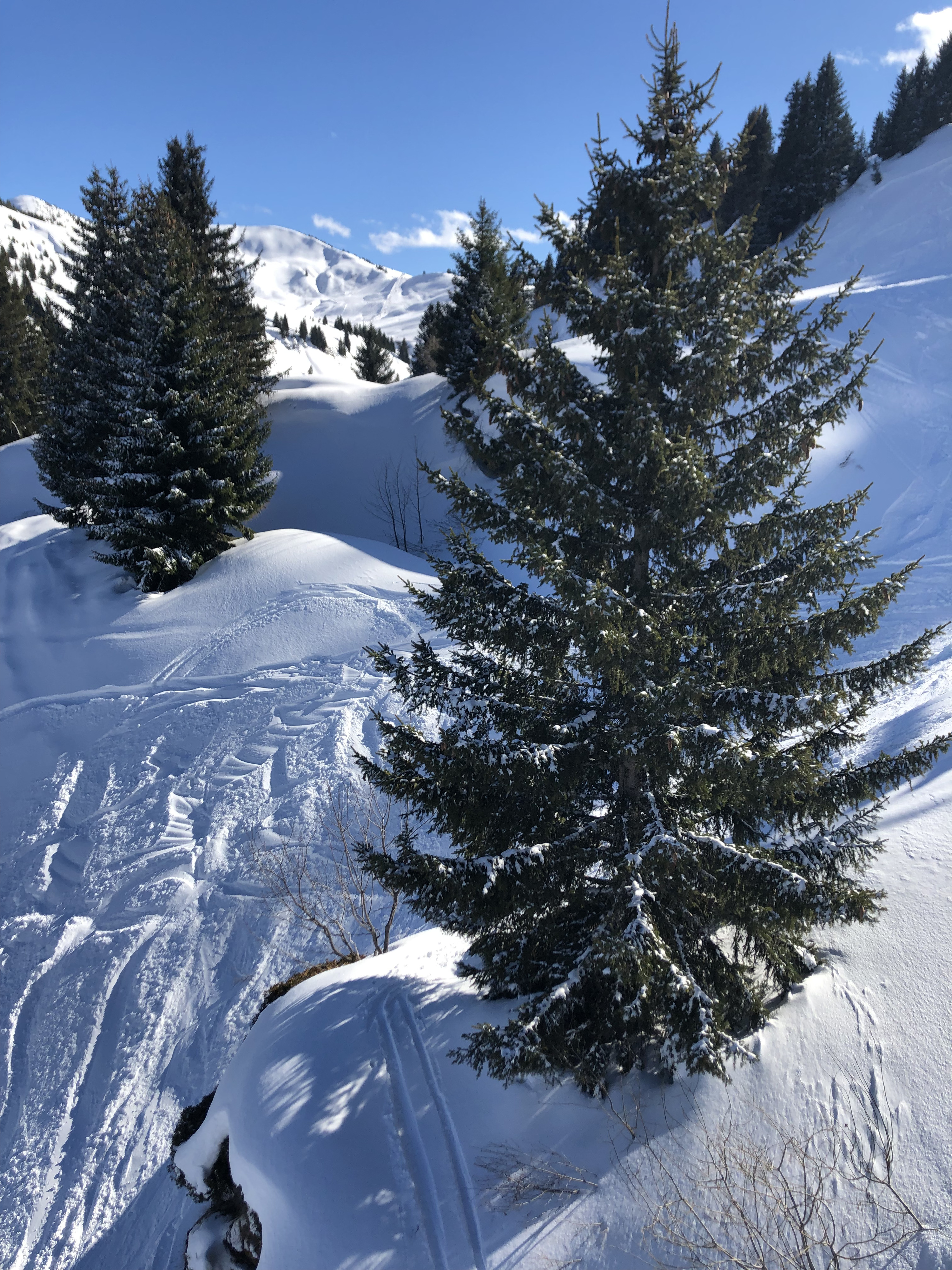 Picture France Megeve 2019-03 28 - Tours Megeve