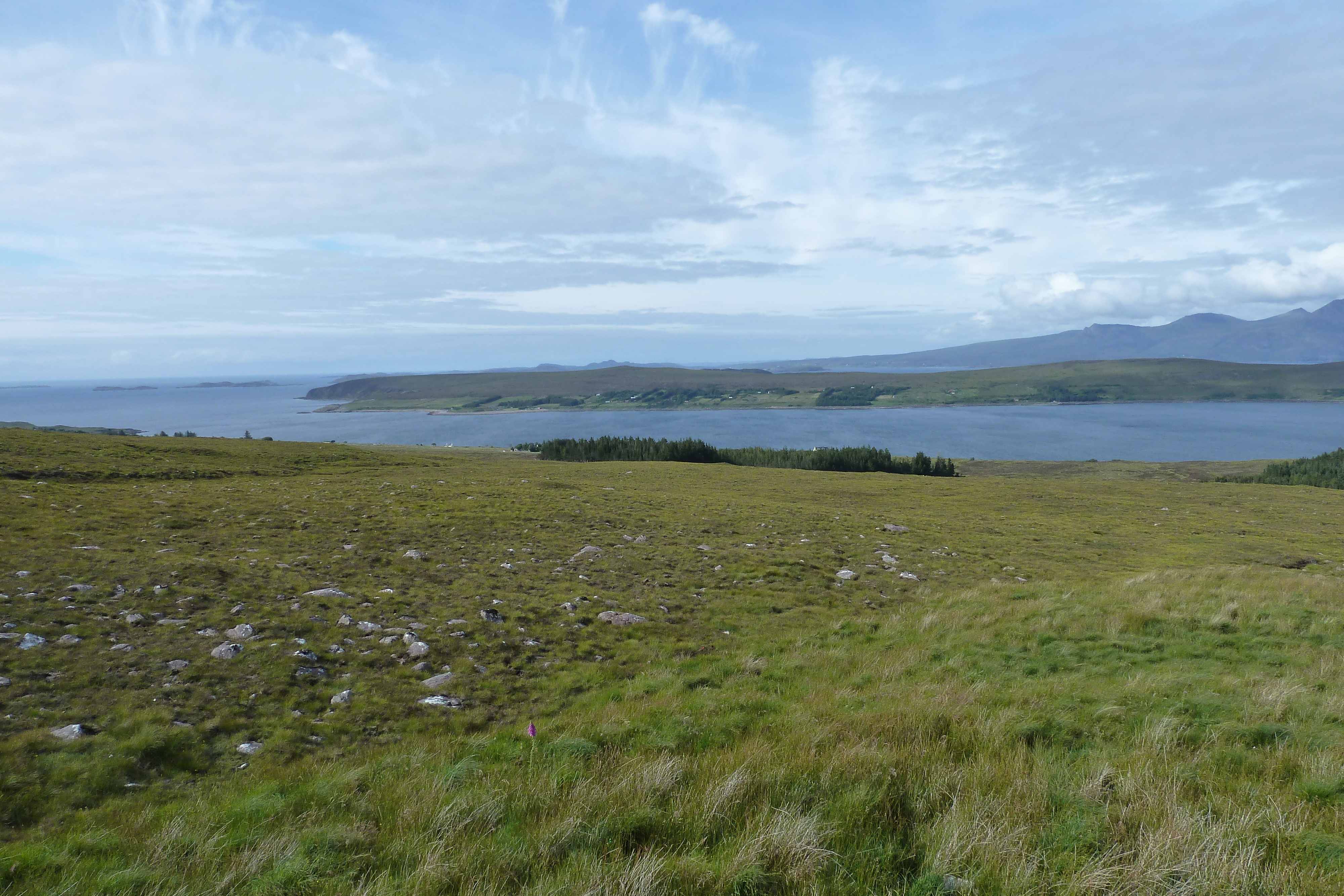 Picture United Kingdom Wester Ross 2011-07 128 - Tour Wester Ross