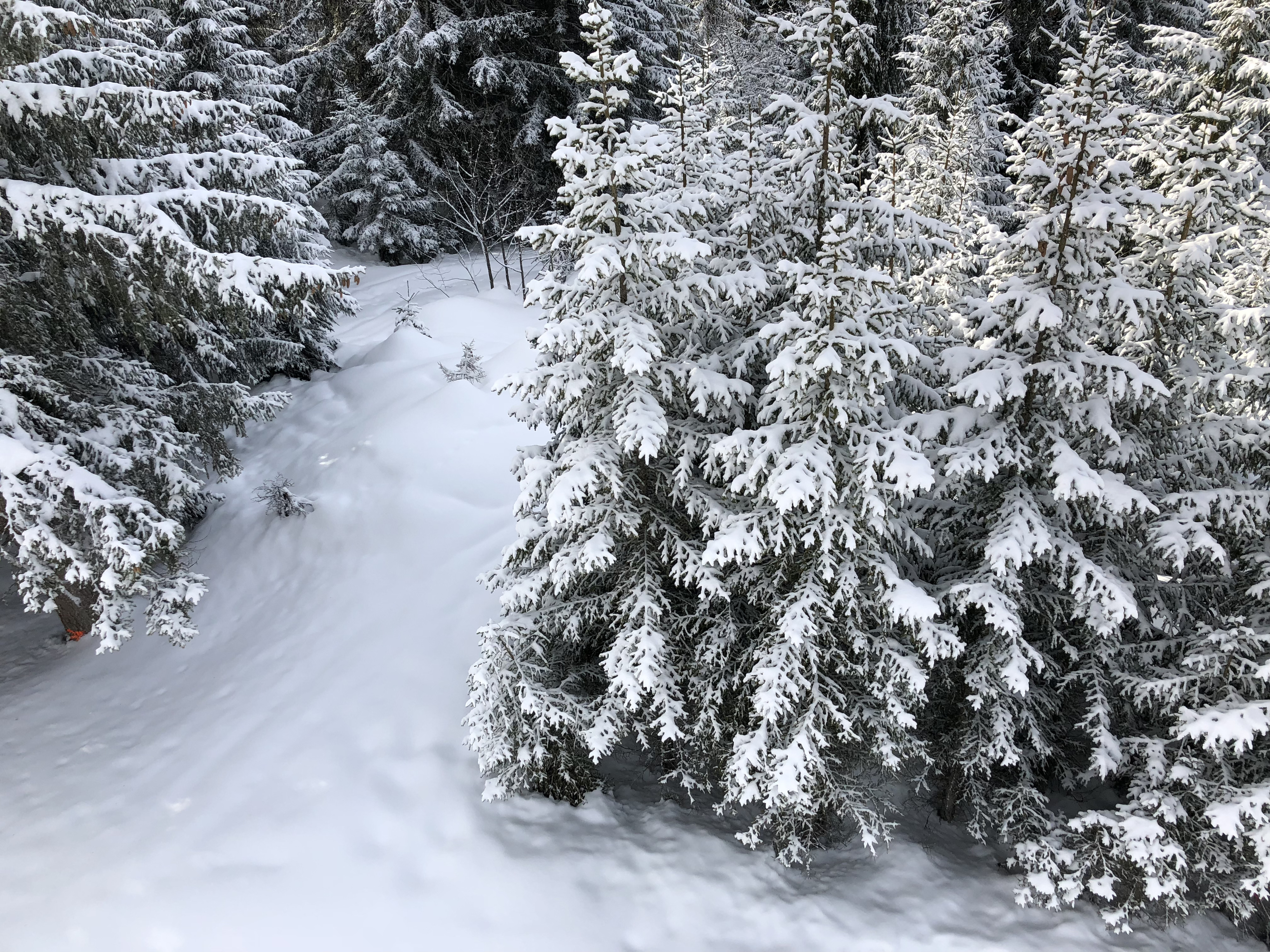 Picture France La Clusaz 2017-12 35 - Journey La Clusaz