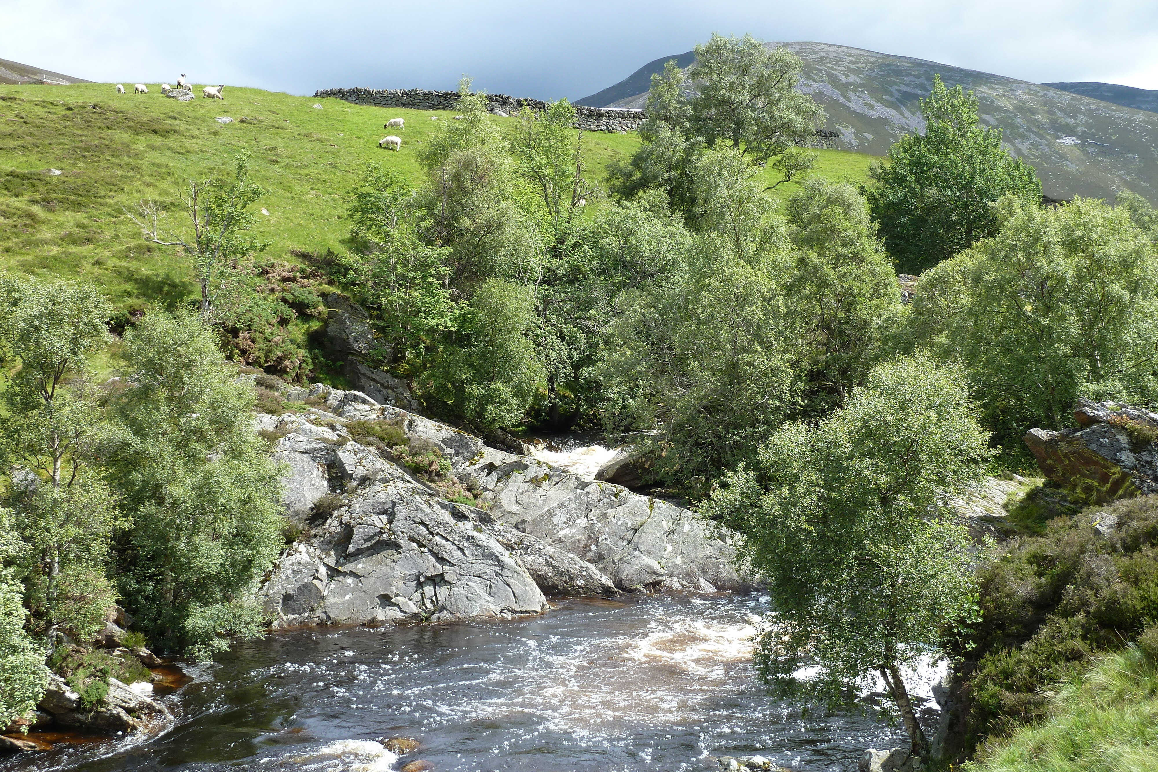 Picture United Kingdom Cairngorms National Park 2011-07 113 - Recreation Cairngorms National Park