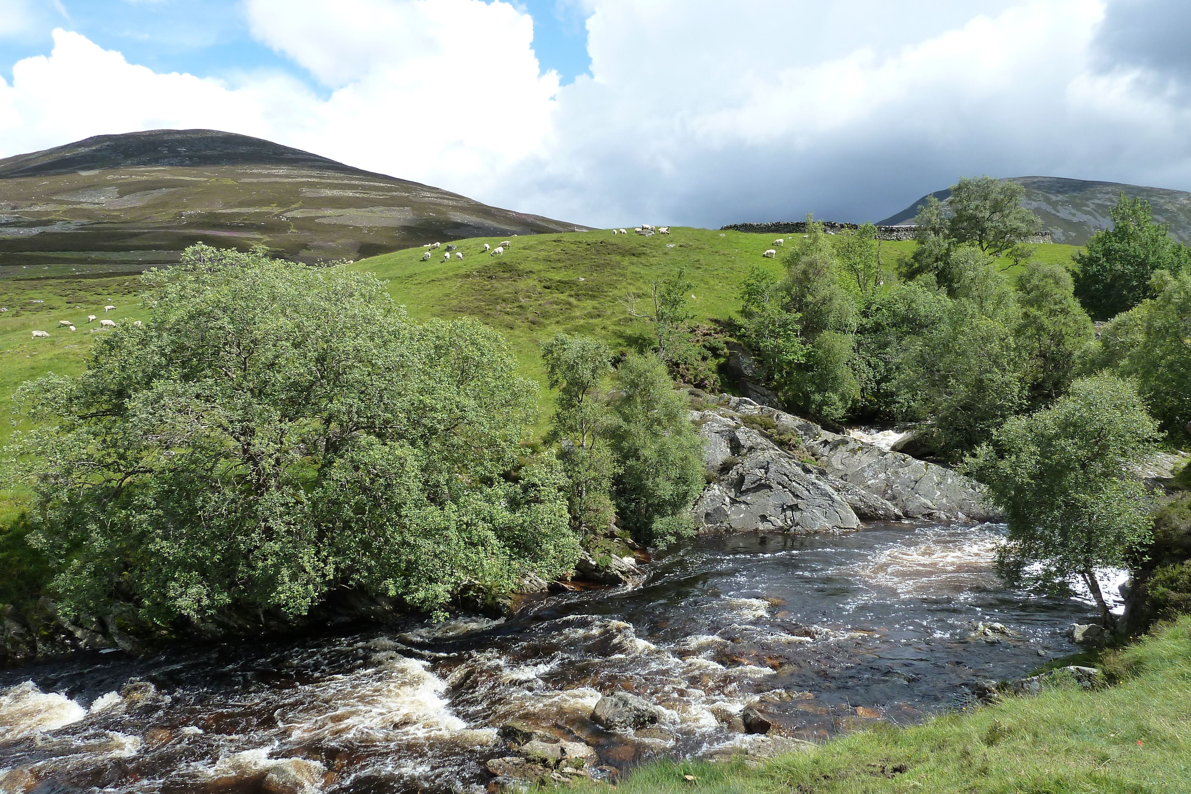 Picture United Kingdom Cairngorms National Park 2011-07 103 - Tours Cairngorms National Park