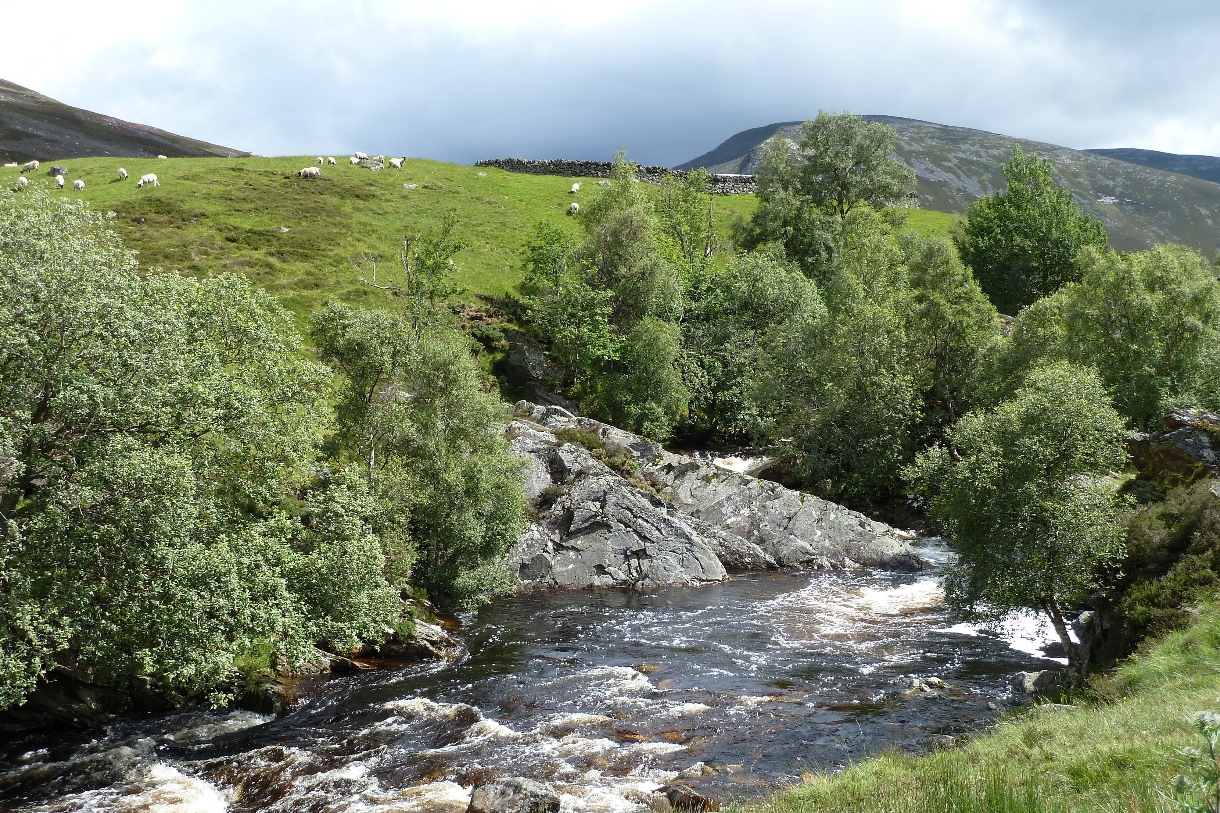 Picture United Kingdom Scotland 2011-07 160 - Around Scotland