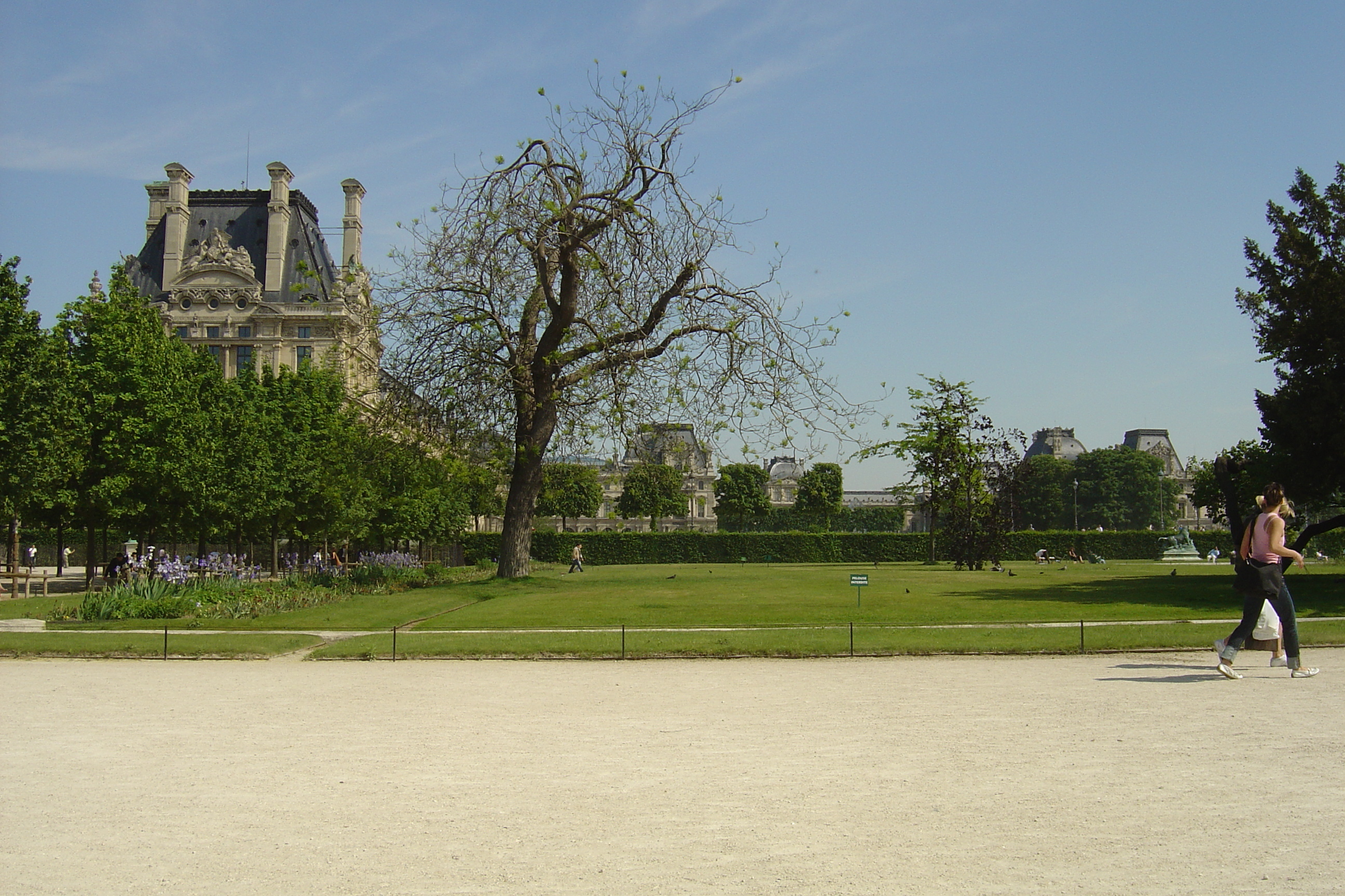 Picture France Paris Garden of Tuileries 2007-05 70 - Tour Garden of Tuileries