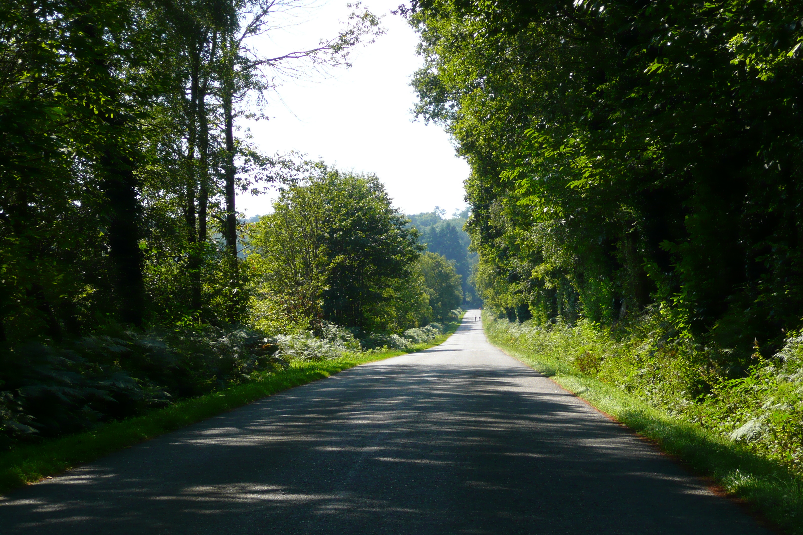 Picture France Brittany roads 2007-08 92 - History Brittany roads