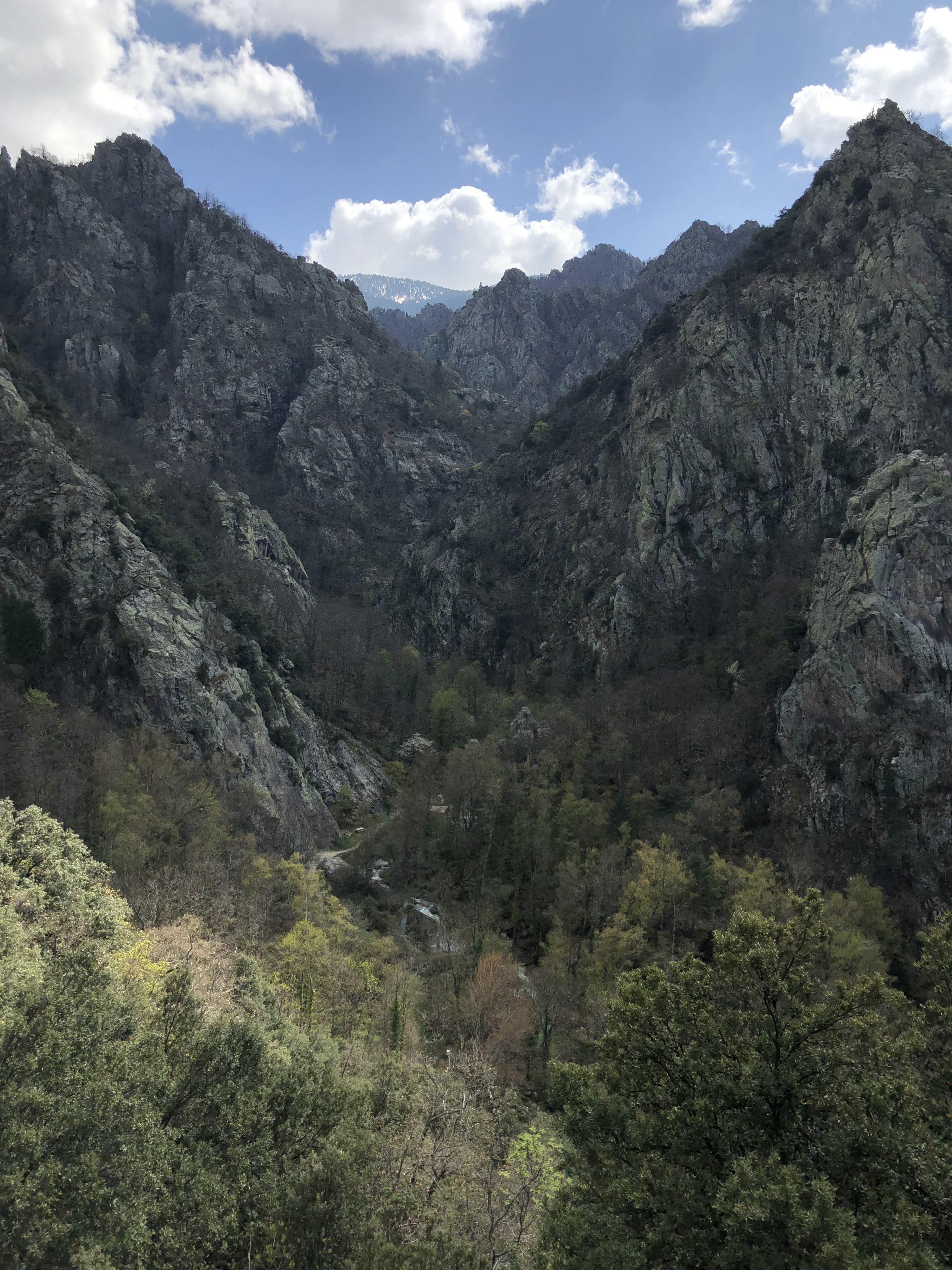 Picture France Abbaye Saint Martin du Canigou 2018-04 83 - Tours Abbaye Saint Martin du Canigou