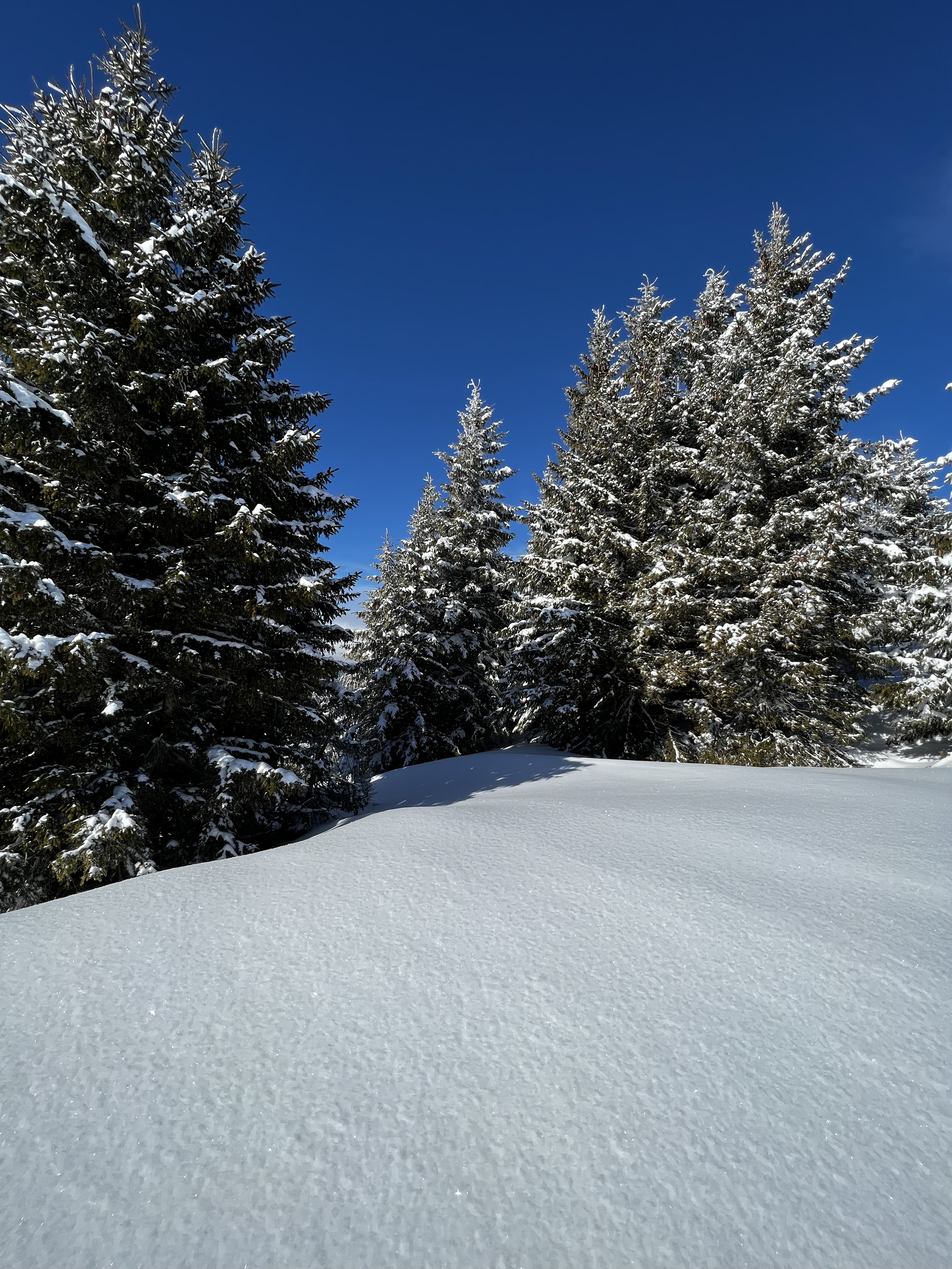 Picture France Megeve 2022-02 26 - Journey Megeve