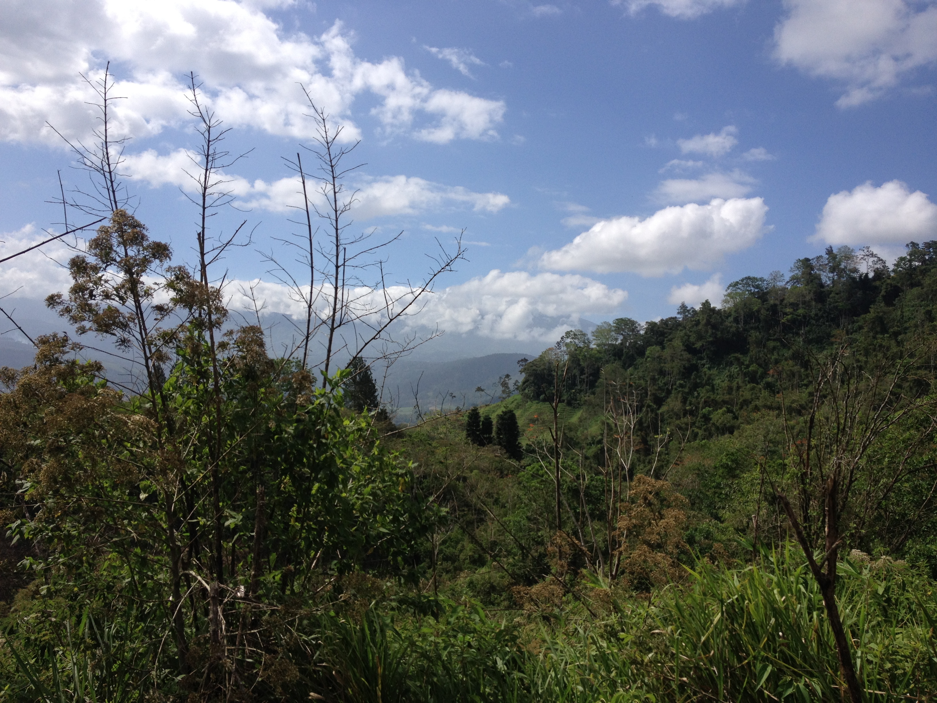 Picture Costa Rica Turrialba 2015-03 36 - Journey Turrialba