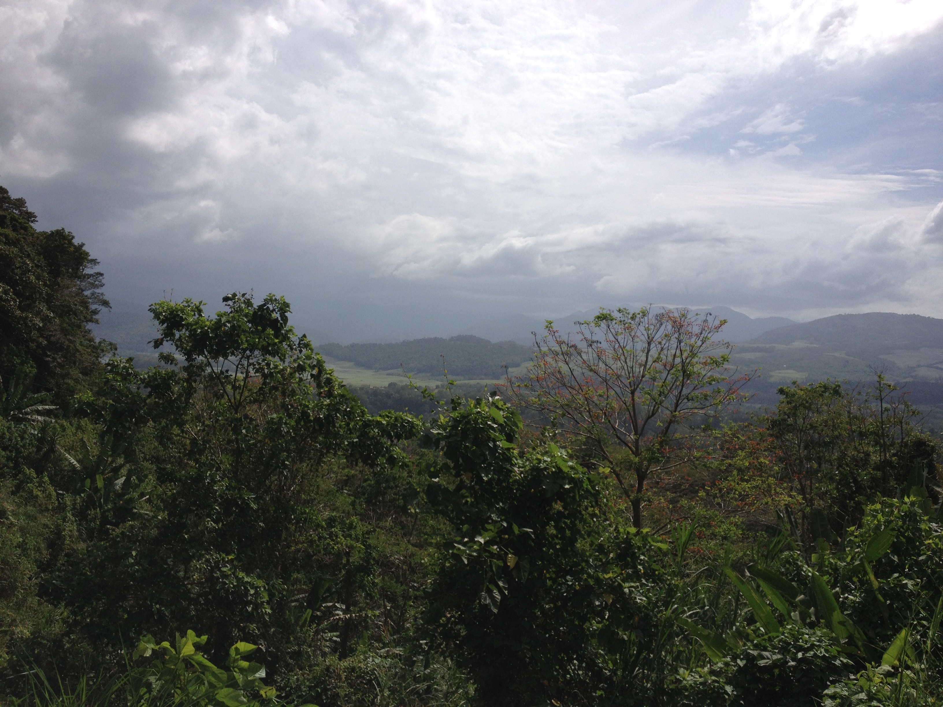 Picture Costa Rica Turrialba 2015-03 35 - Around Turrialba