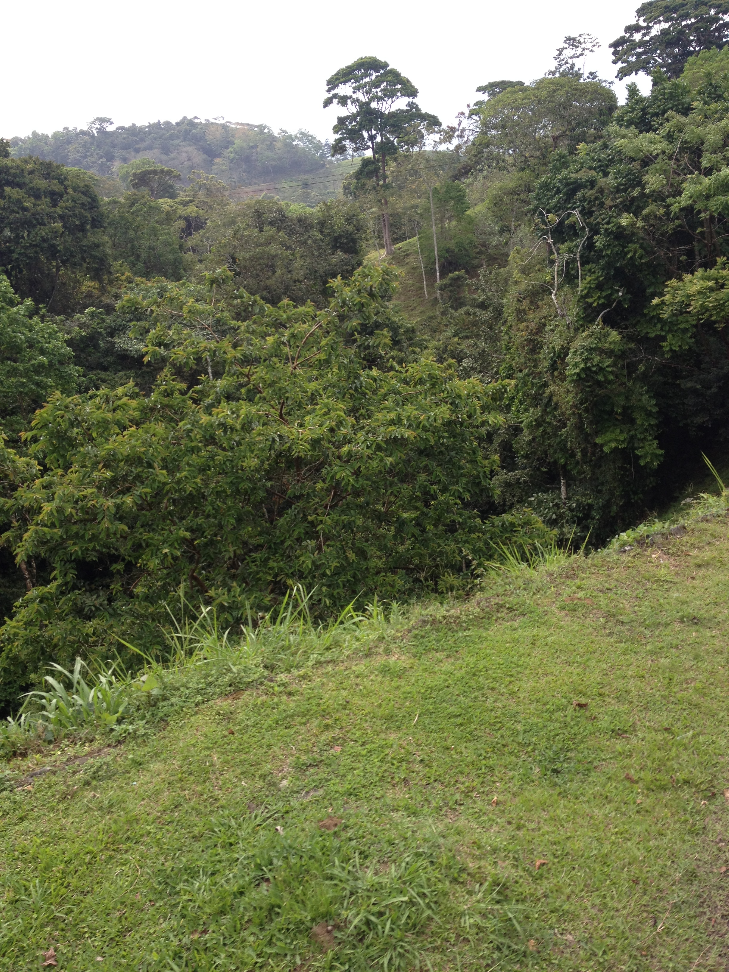 Picture Costa Rica Turrialba 2015-03 10 - History Turrialba