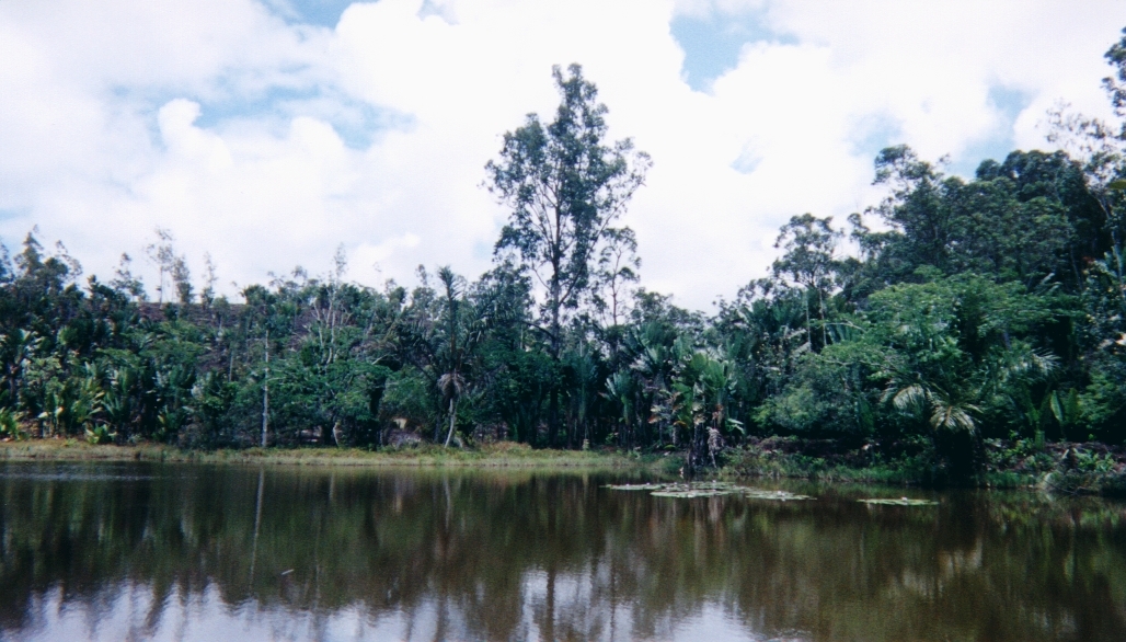 Picture Madagascar 1999-10 34 - Tour Madagascar