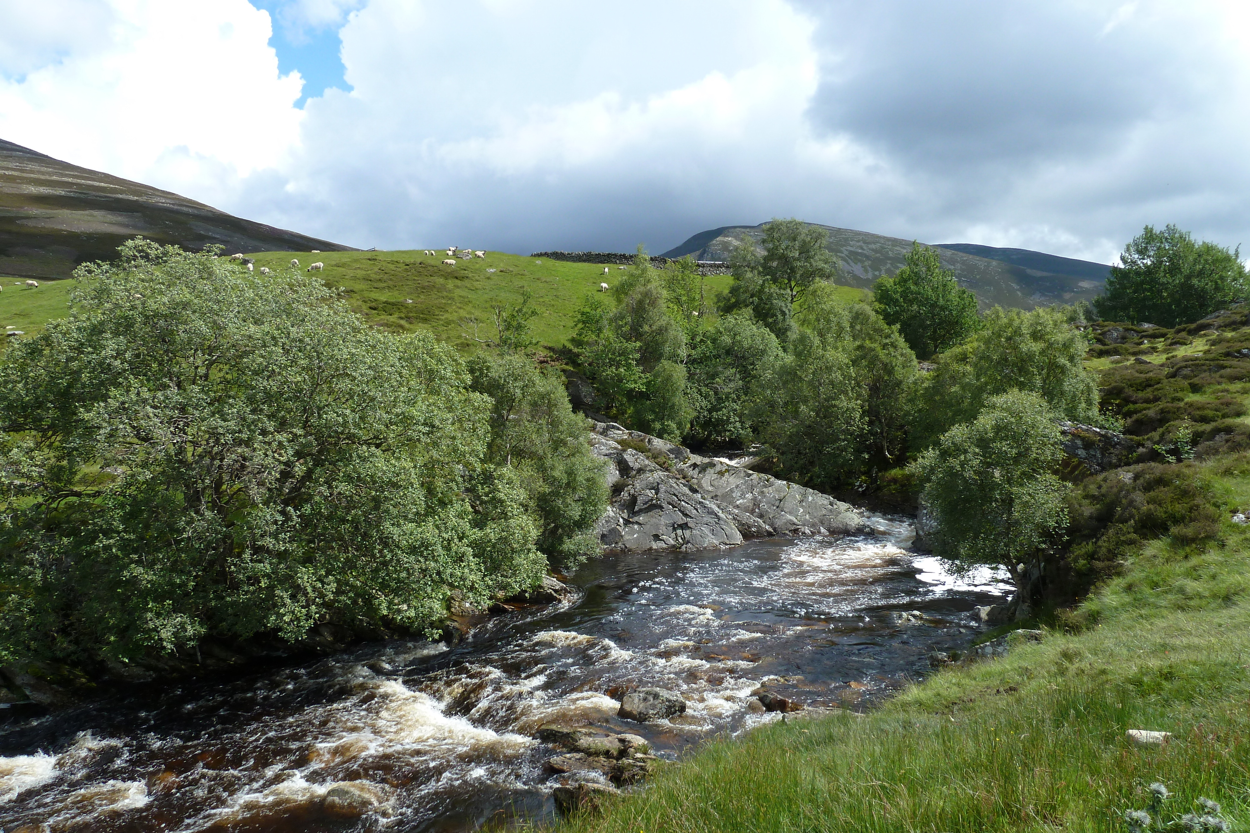 Picture United Kingdom Cairngorms National Park 2011-07 54 - Tour Cairngorms National Park