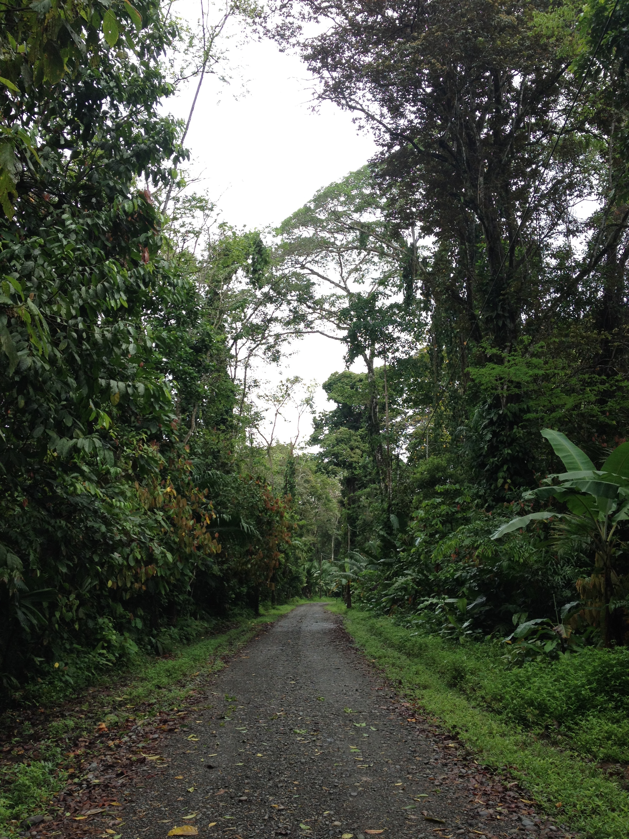 Picture Costa Rica Cahuita 2015-03 88 - Recreation Cahuita