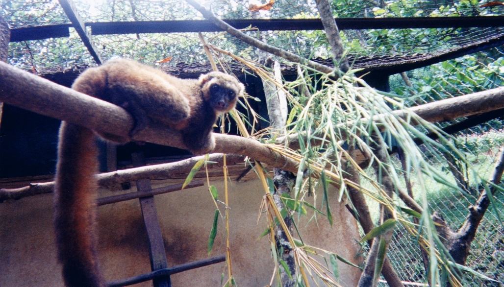 Picture Madagascar 1999-10 30 - Recreation Madagascar