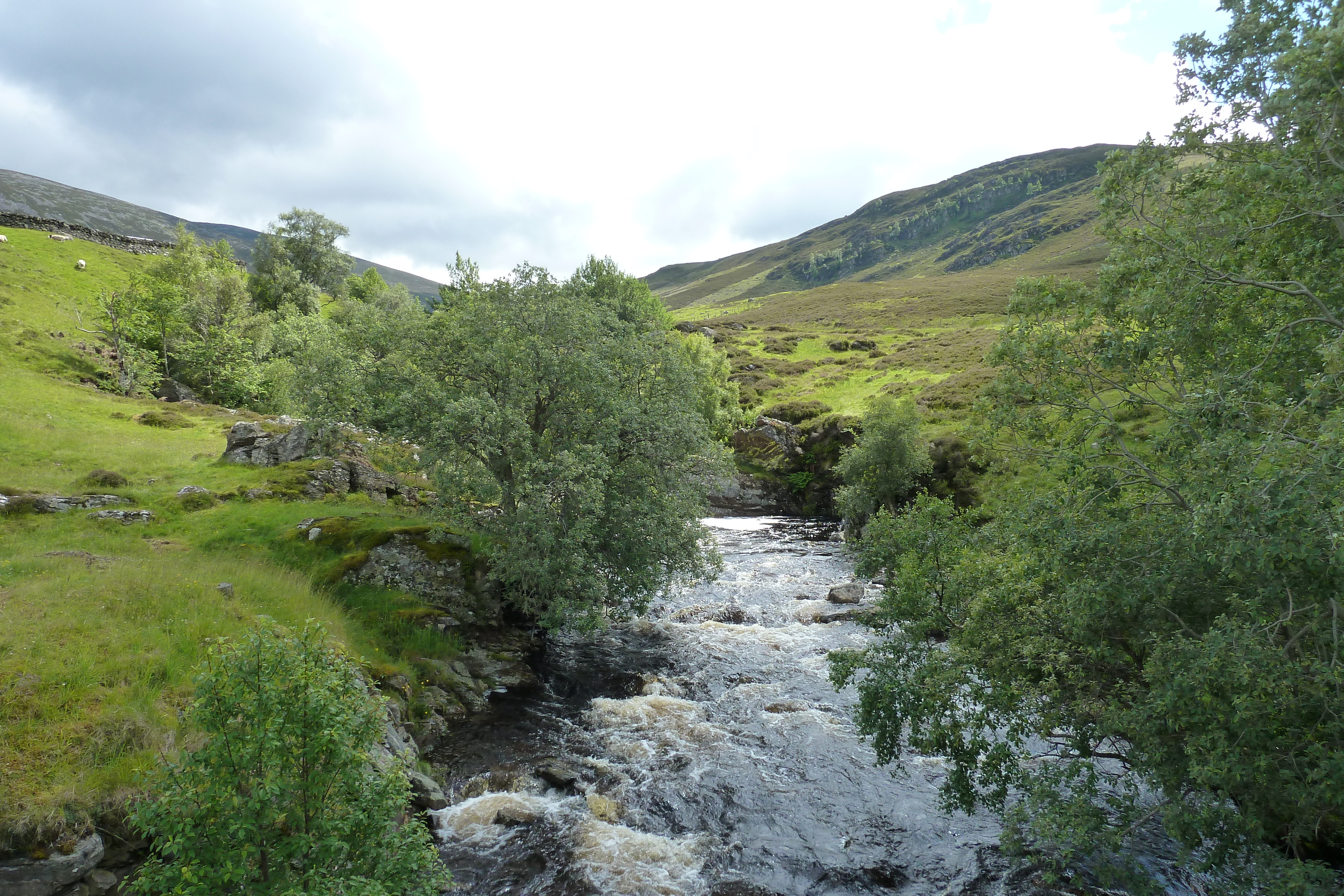 Picture United Kingdom Cairngorms National Park 2011-07 111 - Center Cairngorms National Park