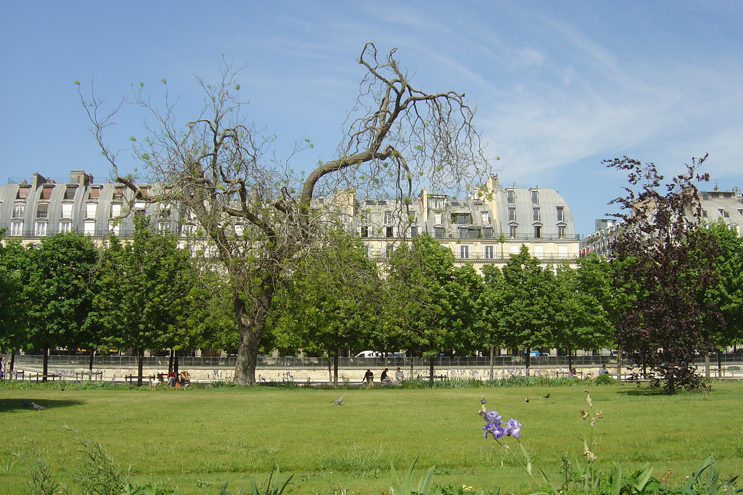 Picture France Paris Garden of Tuileries 2007-05 136 - Recreation Garden of Tuileries