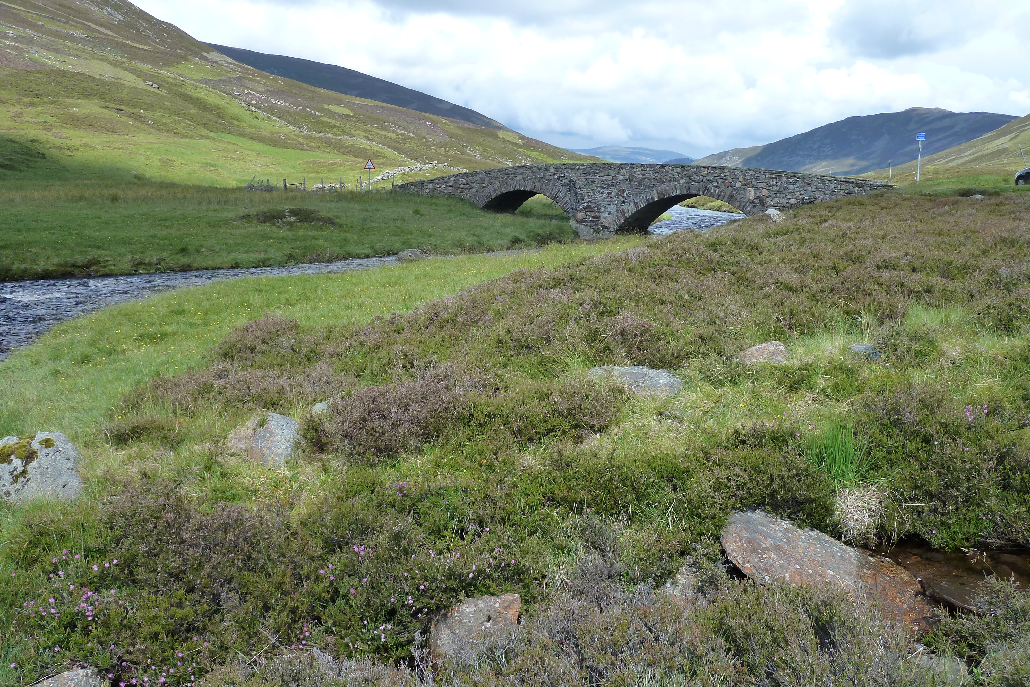 Picture United Kingdom Cairngorms National Park 2011-07 92 - Discovery Cairngorms National Park