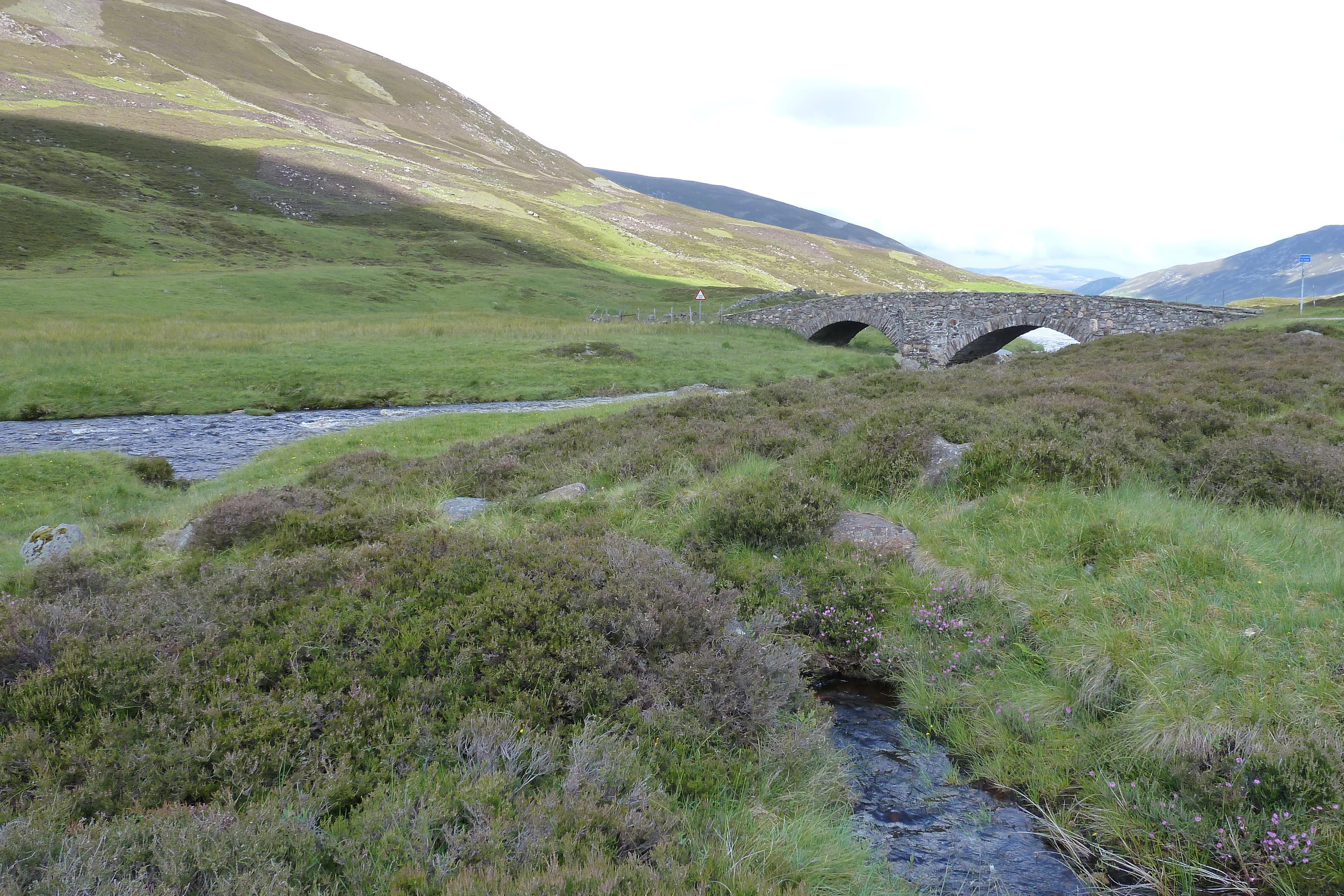 Picture United Kingdom Cairngorms National Park 2011-07 95 - Journey Cairngorms National Park