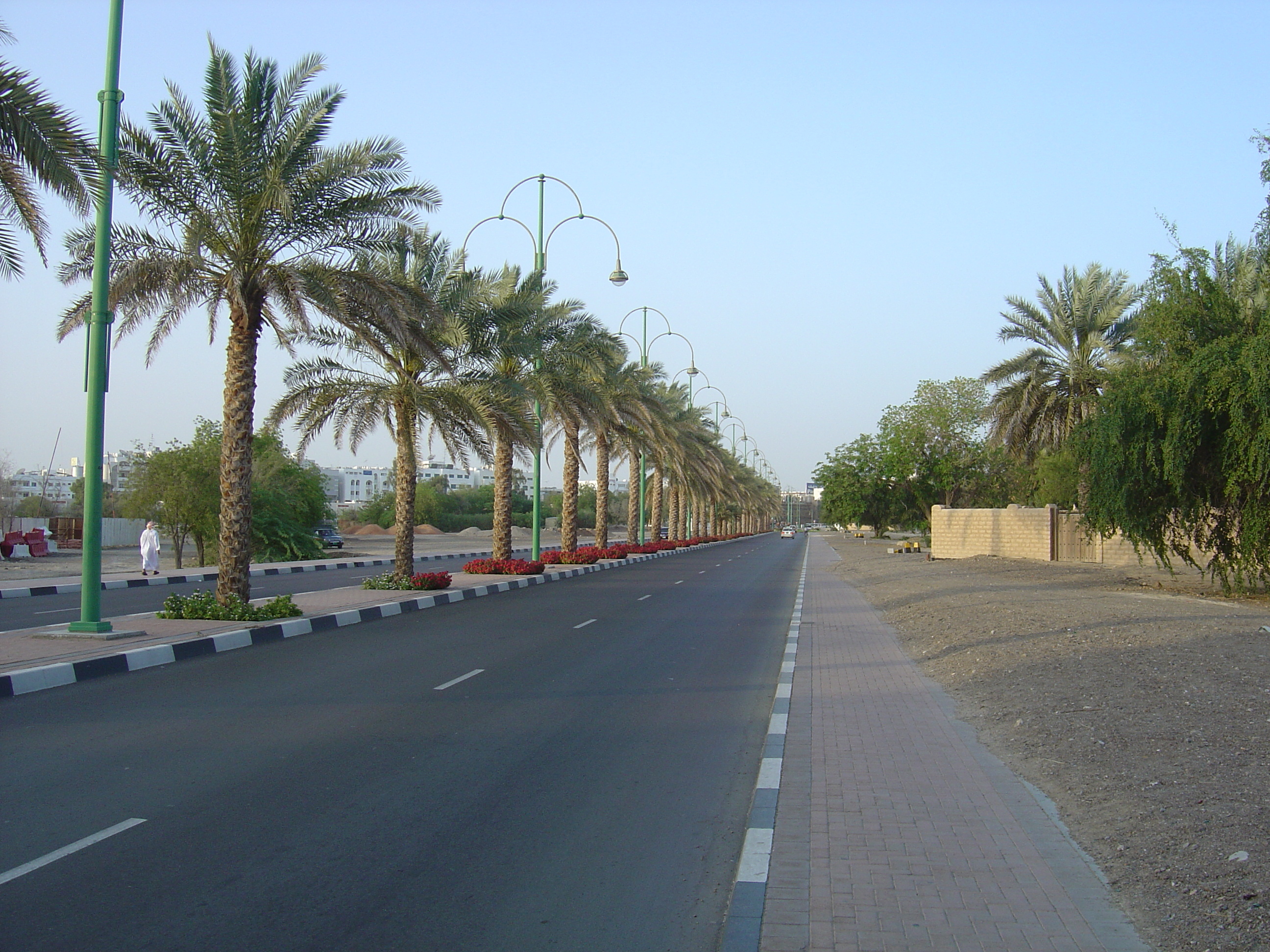 Picture United Arab Emirates Al Ain 2005-03 17 - History Al Ain