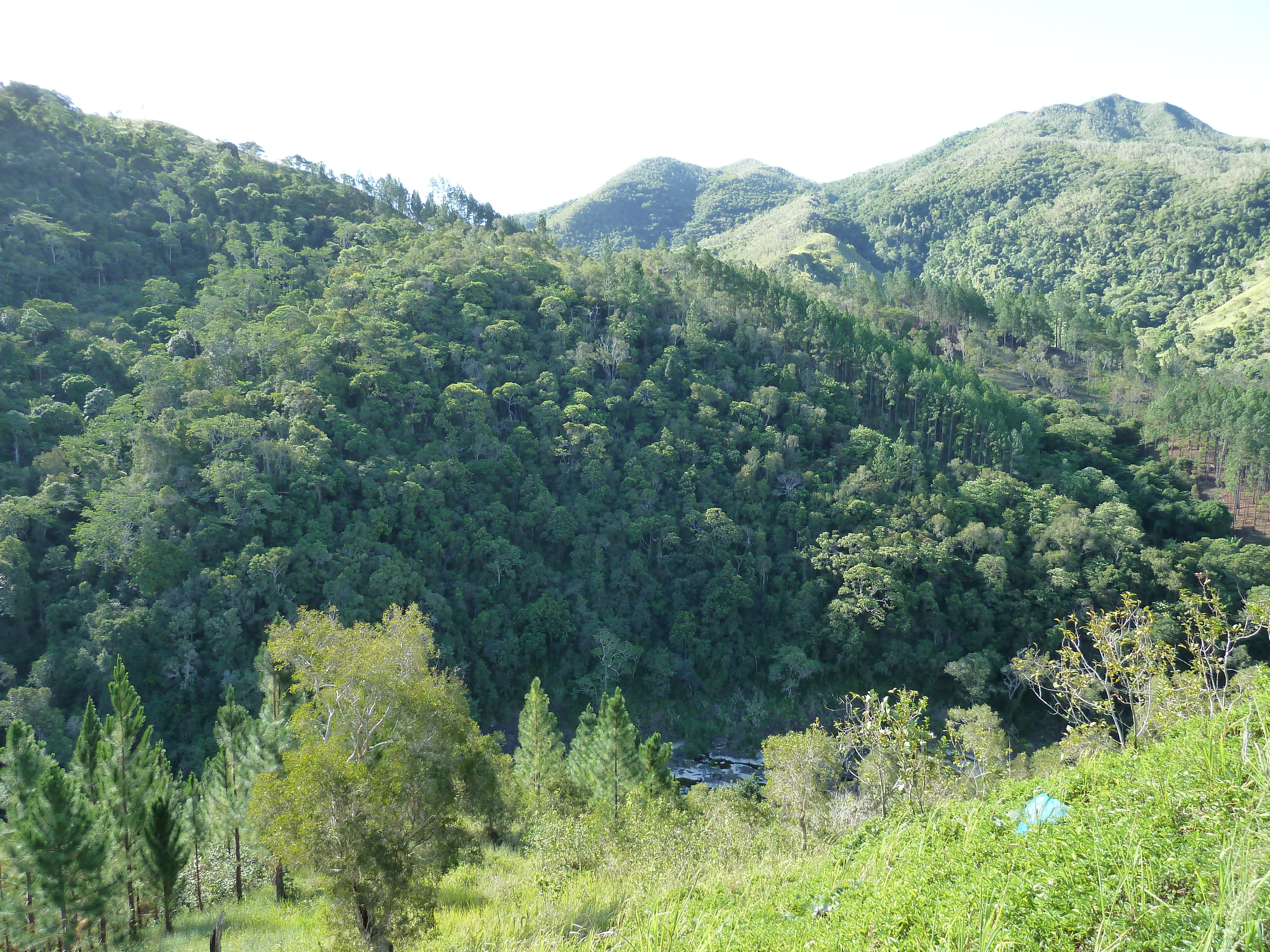 Picture New Caledonia Canala to La Foa road 2010-05 8 - Recreation Canala to La Foa road