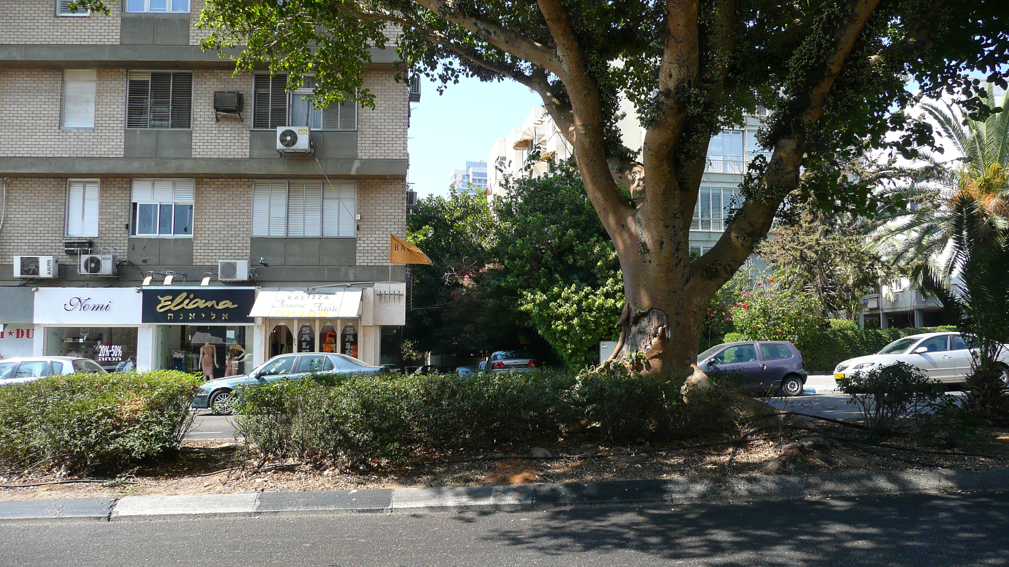 Picture Israel Tel Aviv Jabotinsky Street 2007-06 14 - Center Jabotinsky Street