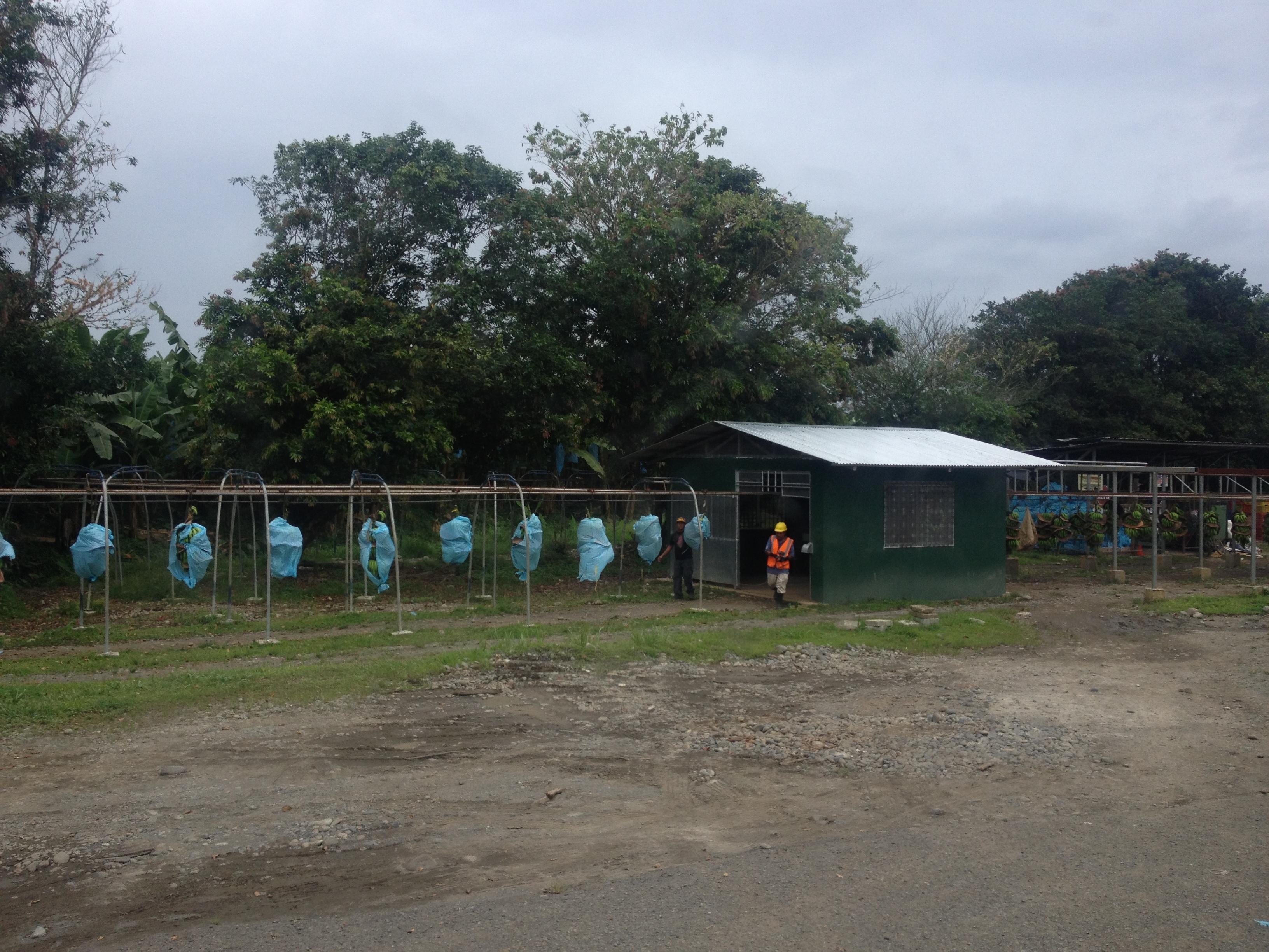 Picture Costa Rica Caraibean Border 2015-03 14 - Center Caraibean Border