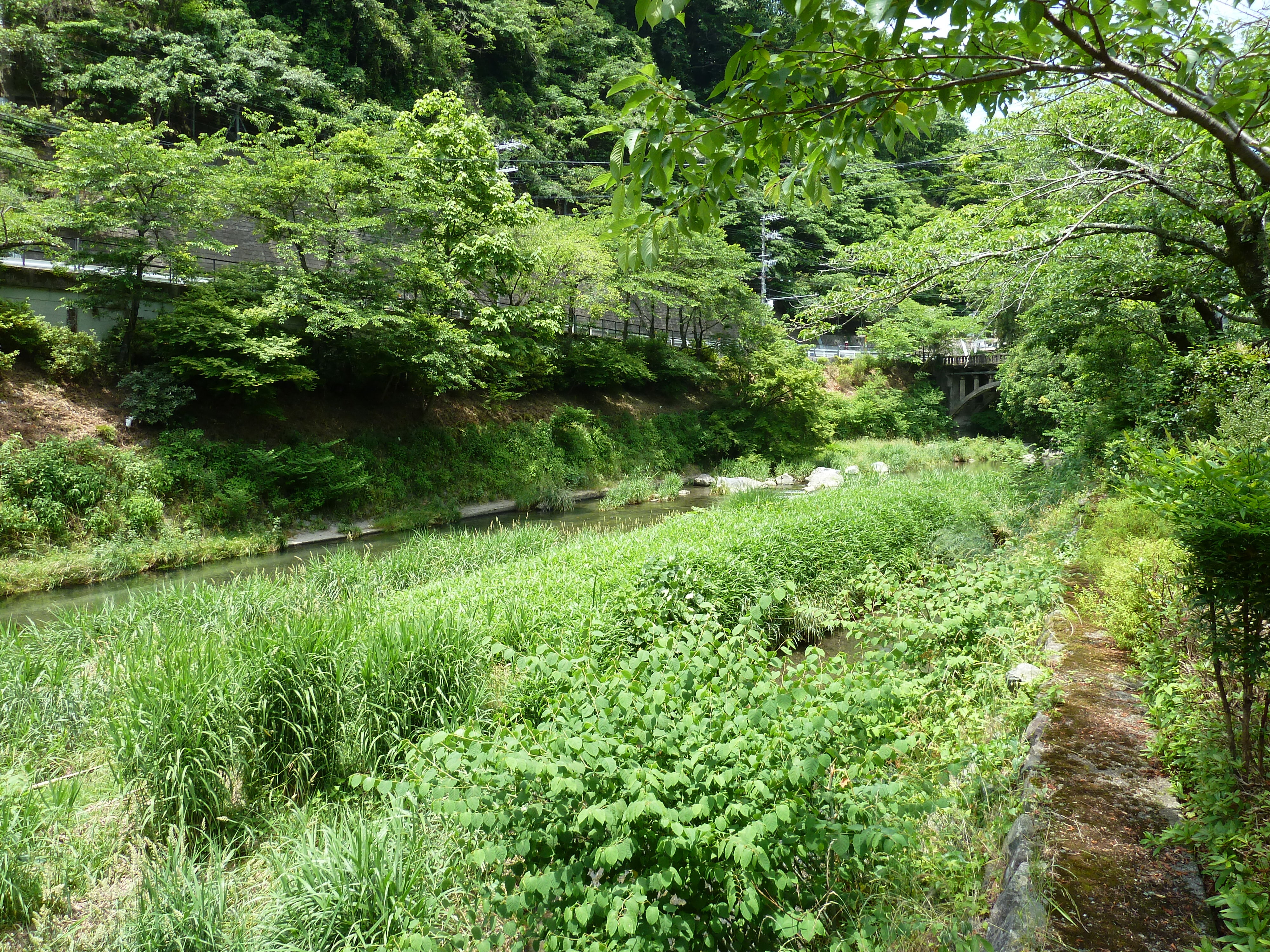 Picture Japan Kyoto Yase Hieizanguchi Station 2010-06 17 - Around Yase Hieizanguchi Station