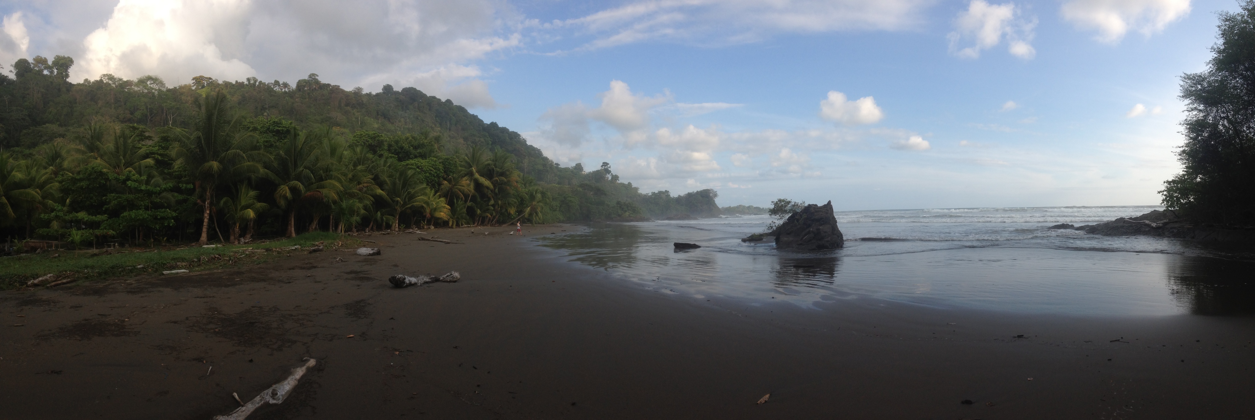 Picture Costa Rica Dominical 2015-03 86 - Tours Dominical