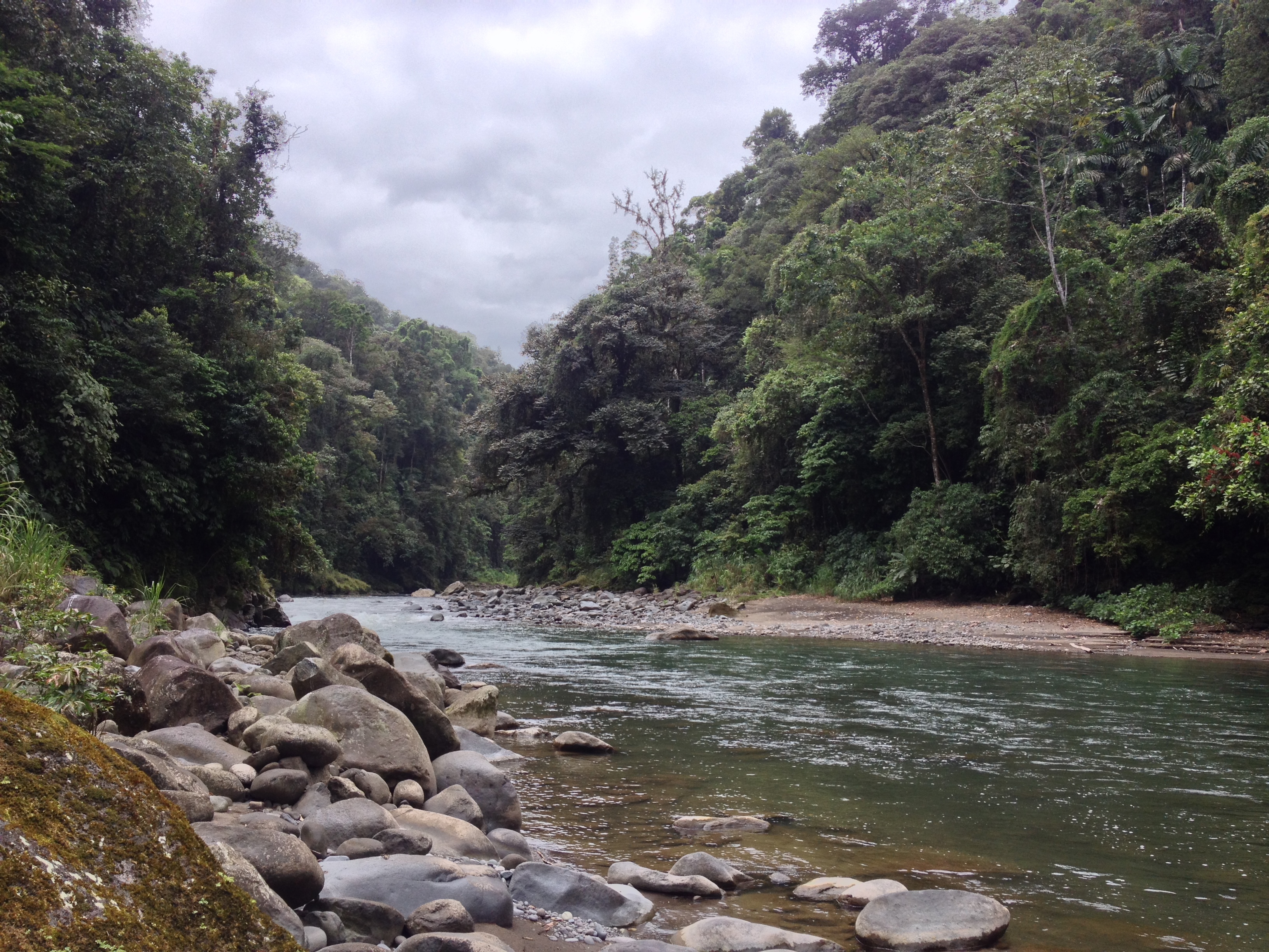 Picture Costa Rica Pacuare River 2015-03 53 - Center Pacuare River