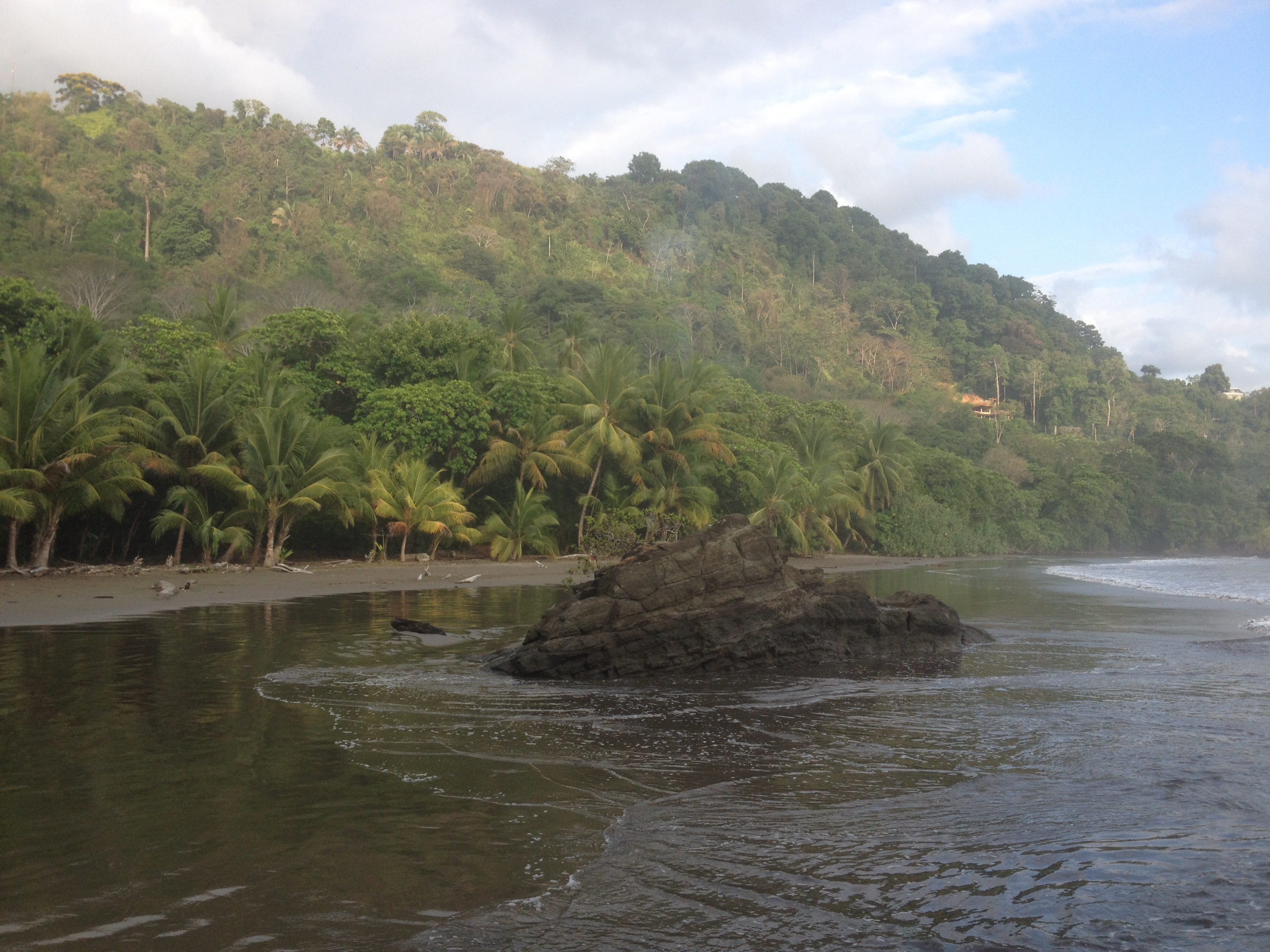 Picture Costa Rica Dominical 2015-03 109 - Discovery Dominical