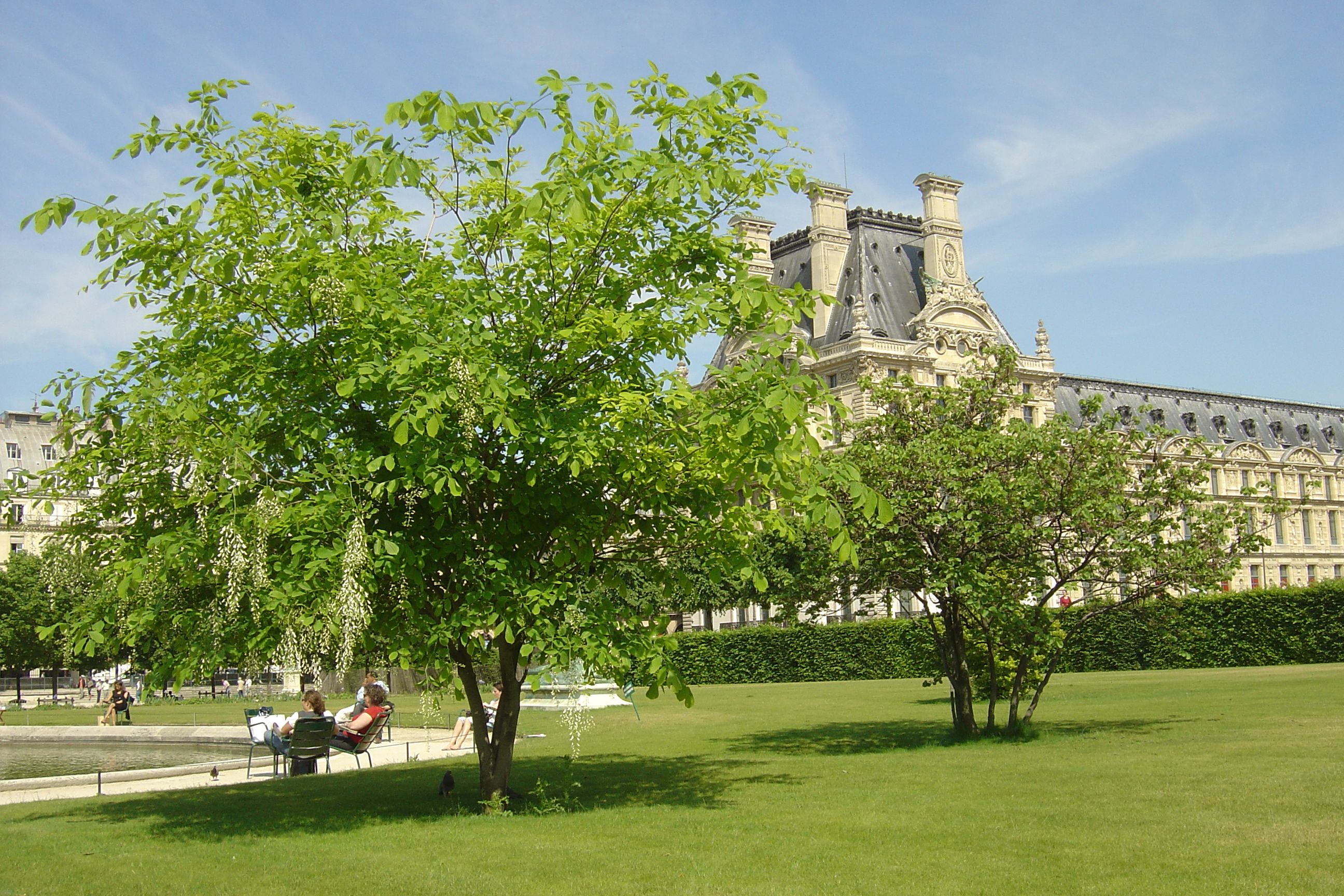 Picture France Paris Garden of Tuileries 2007-05 278 - History Garden of Tuileries