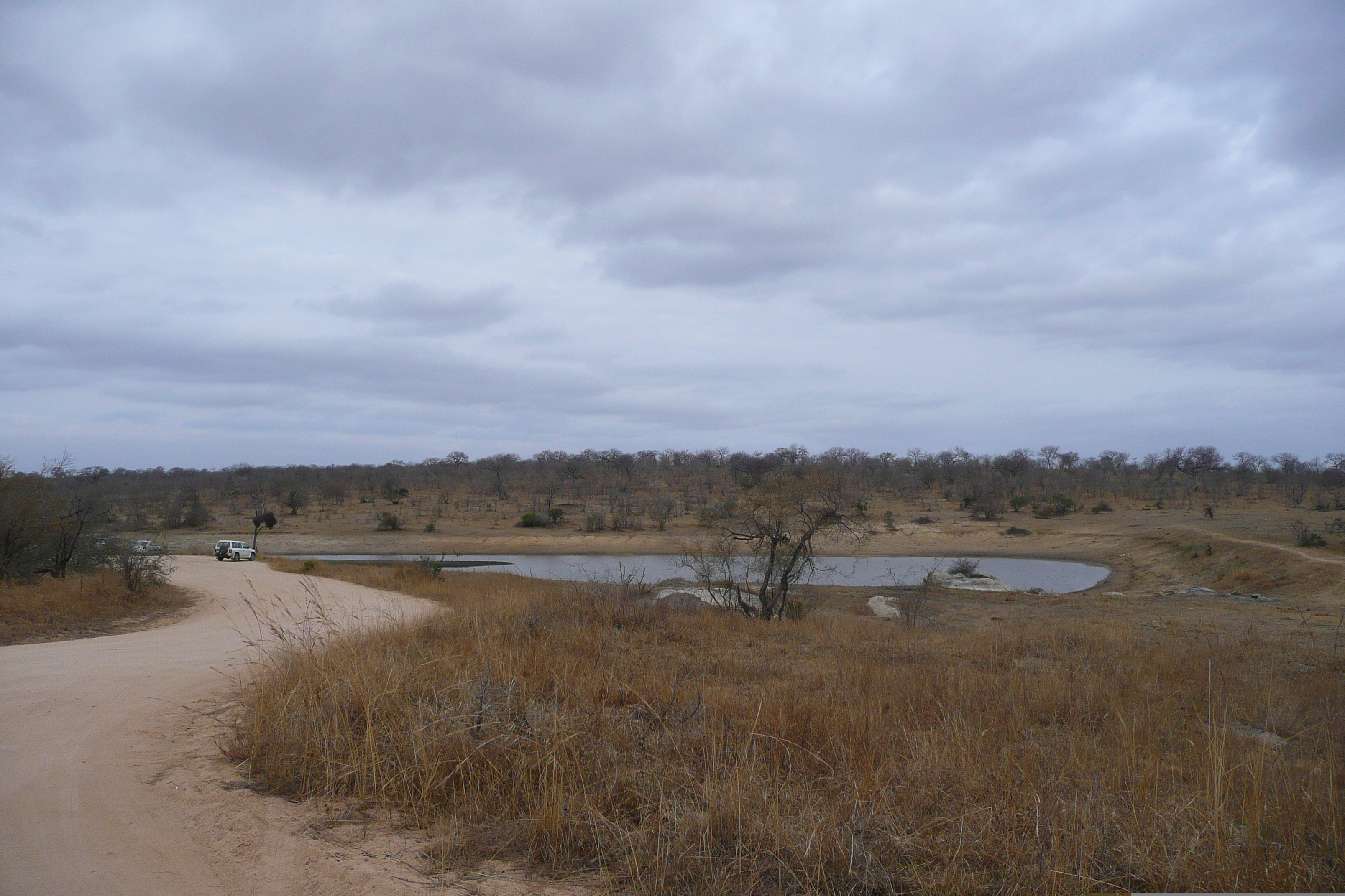 Picture South Africa Kruger National Park 2008-09 75 - Tour Kruger National Park