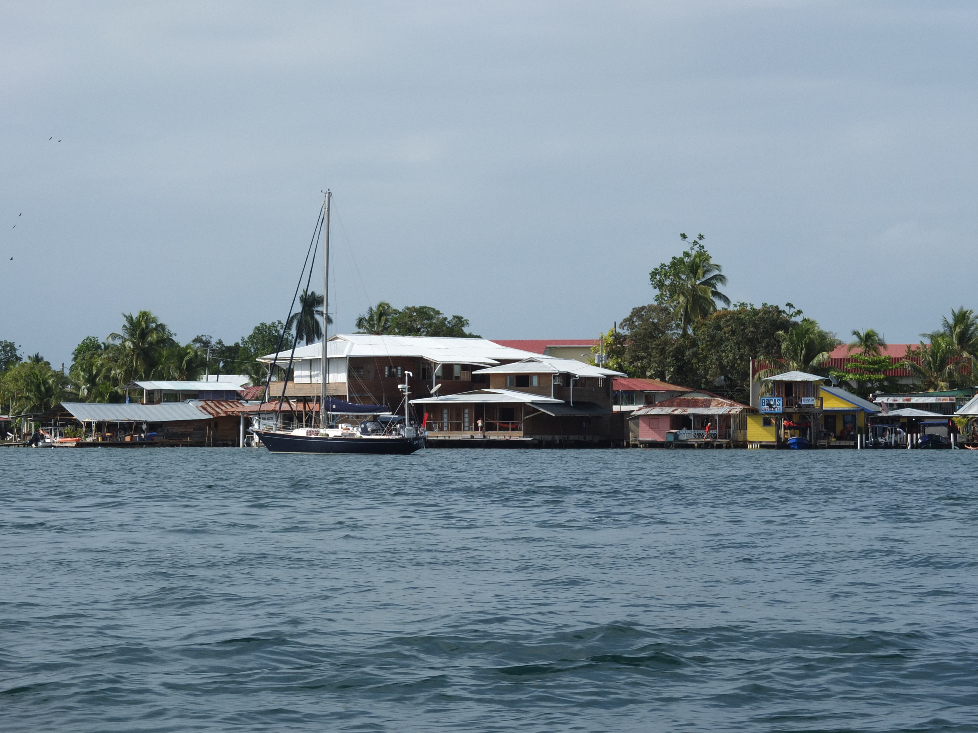 Picture Panama Bocas del toro 2015-03 44 - Tours Bocas del toro