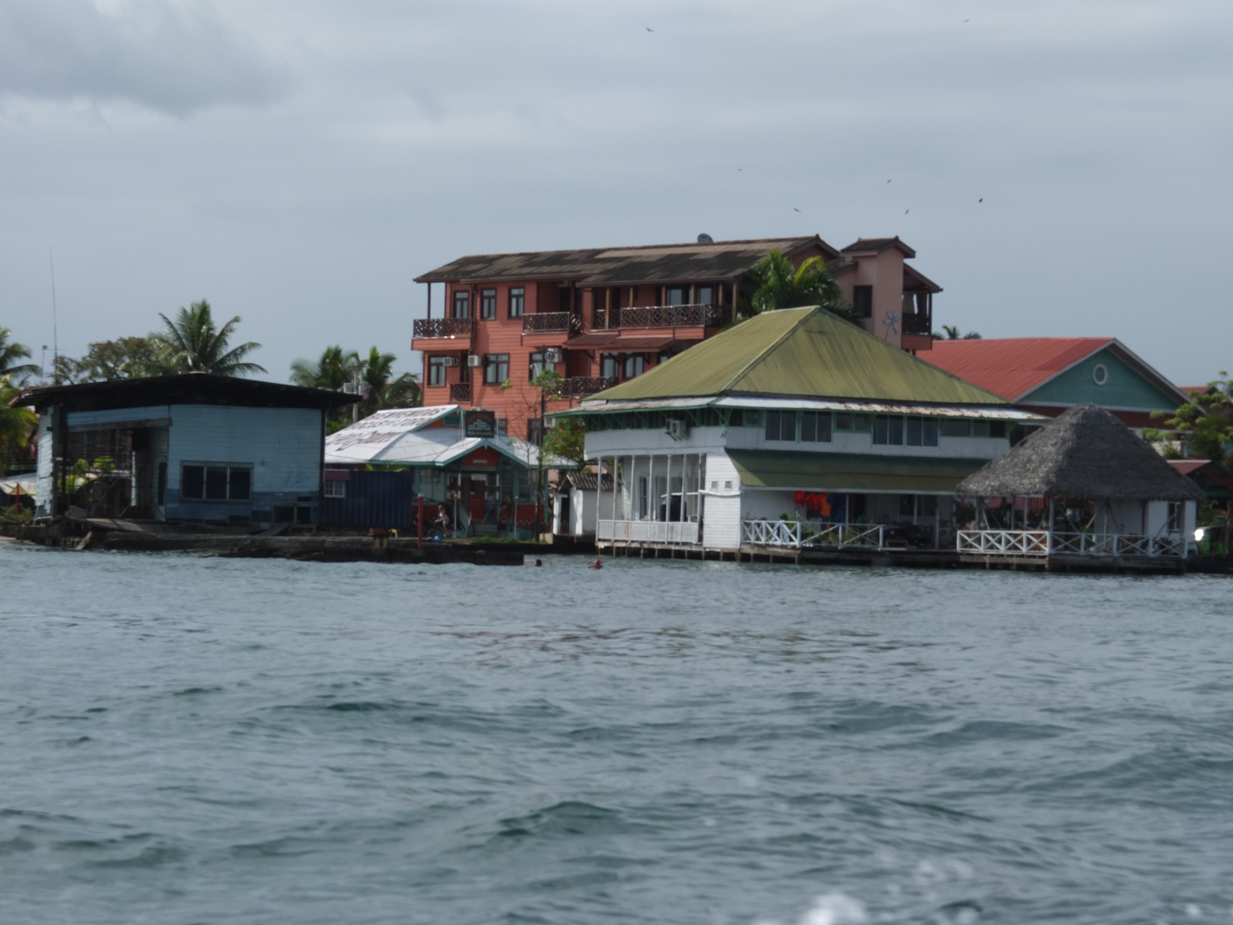 Picture Panama Bocas del toro 2015-03 17 - Discovery Bocas del toro