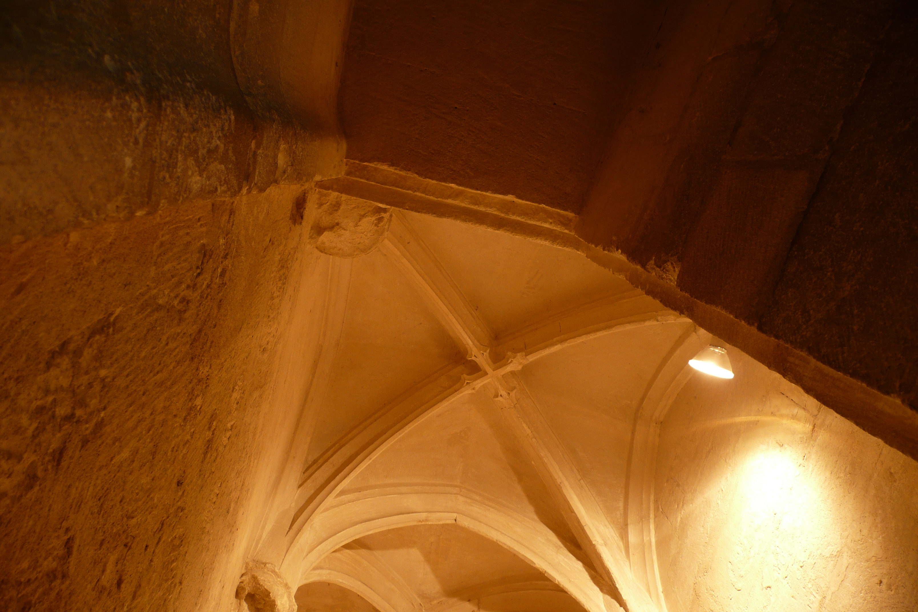 Picture France Tarascon Tarascon Castle 2008-04 69 - Journey Tarascon Castle