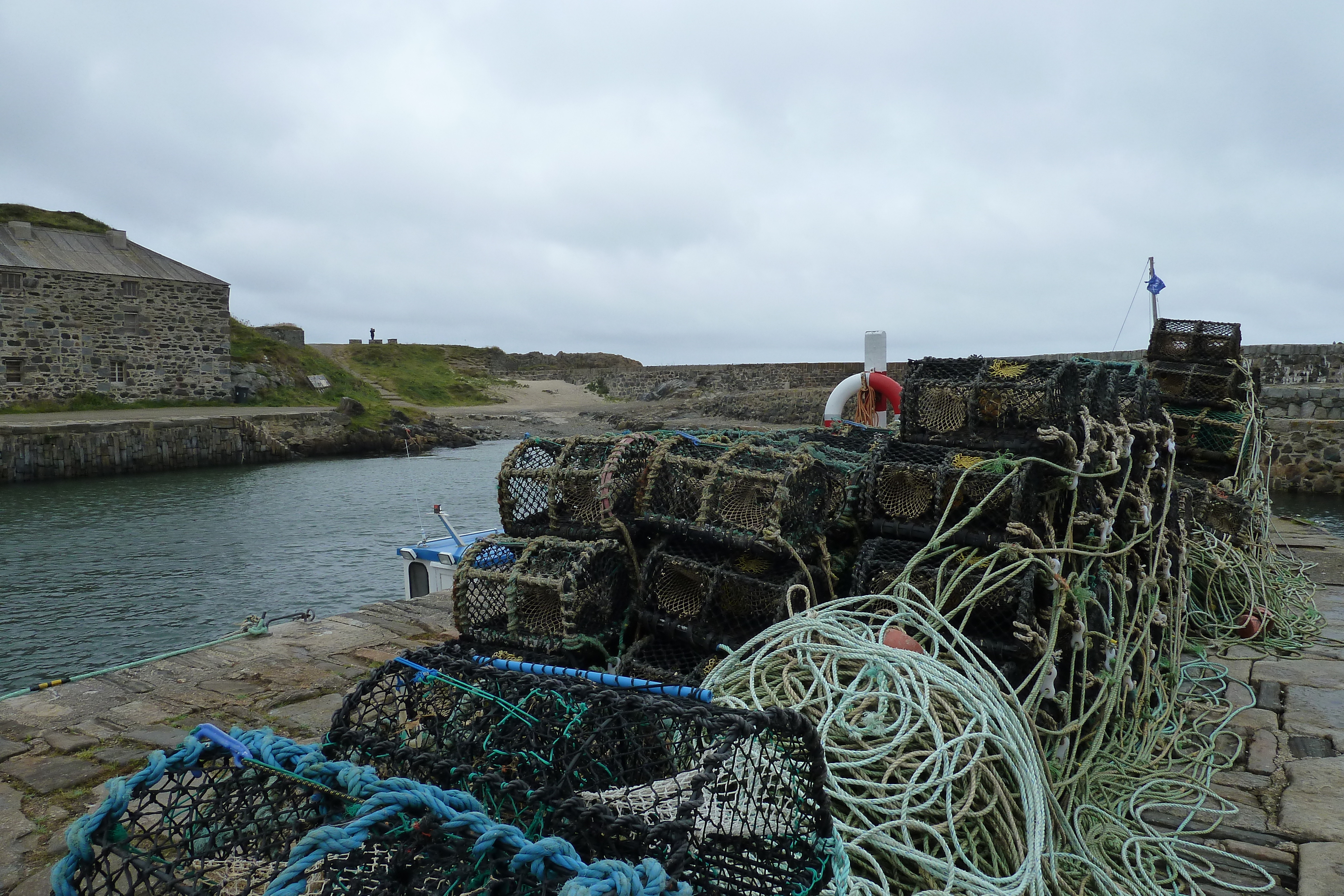 Picture United Kingdom Scotland Portsoy 2011-07 6 - Discovery Portsoy