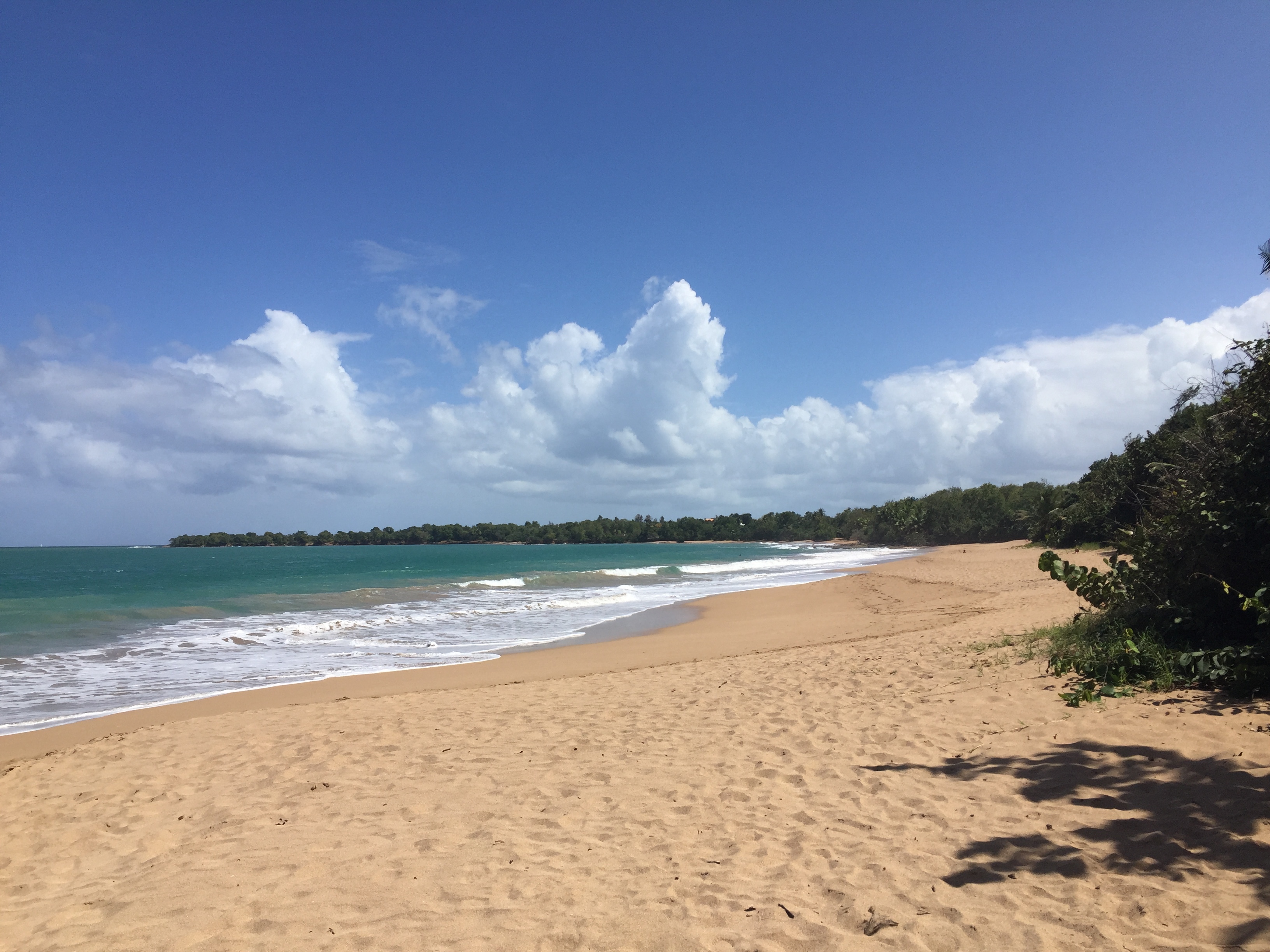 Picture Guadeloupe Deshaies 2021-02 5 - Tour Deshaies