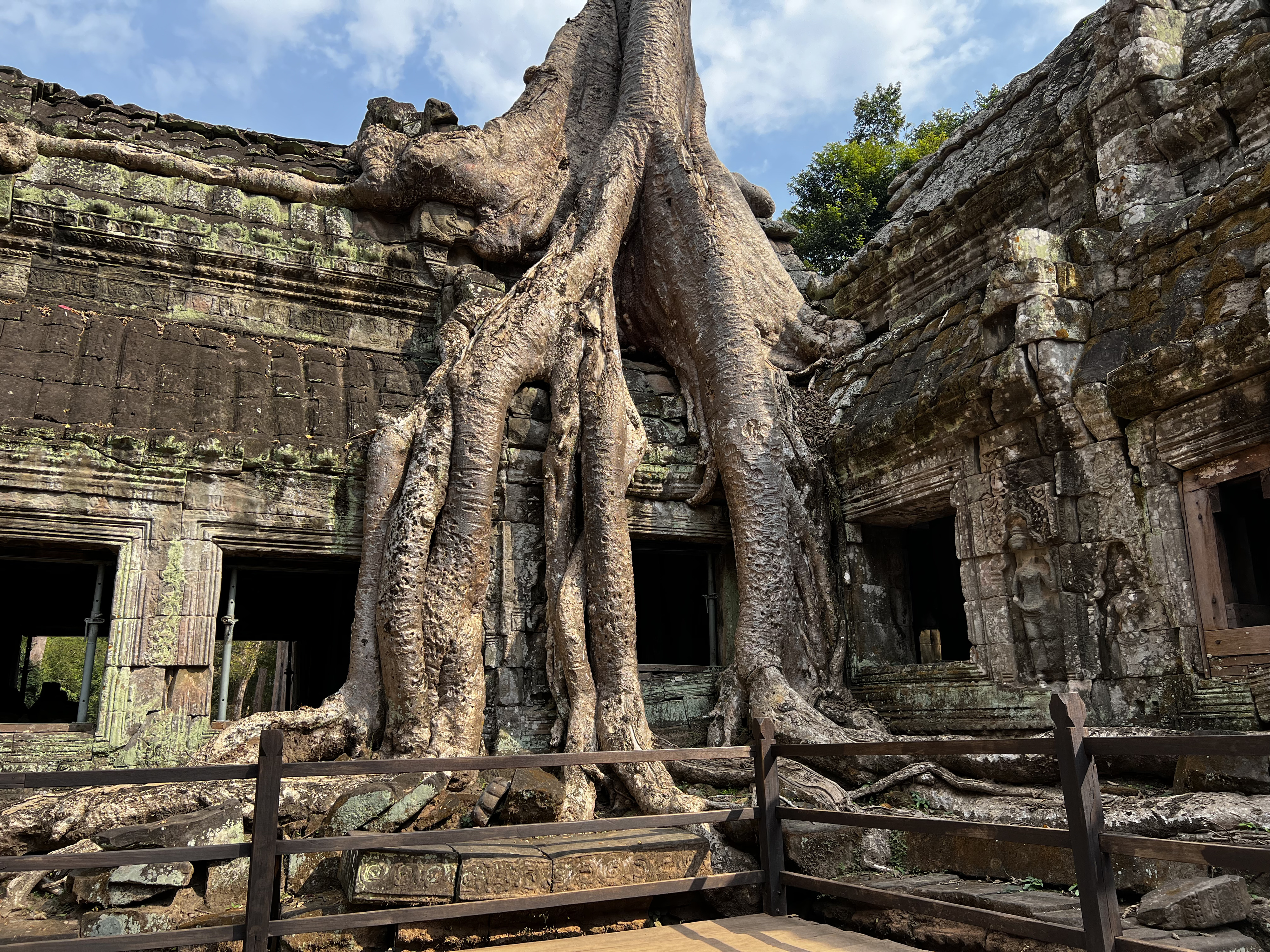 Picture Cambodia Siem Reap Ta Prohm 2023-01 89 - History Ta Prohm