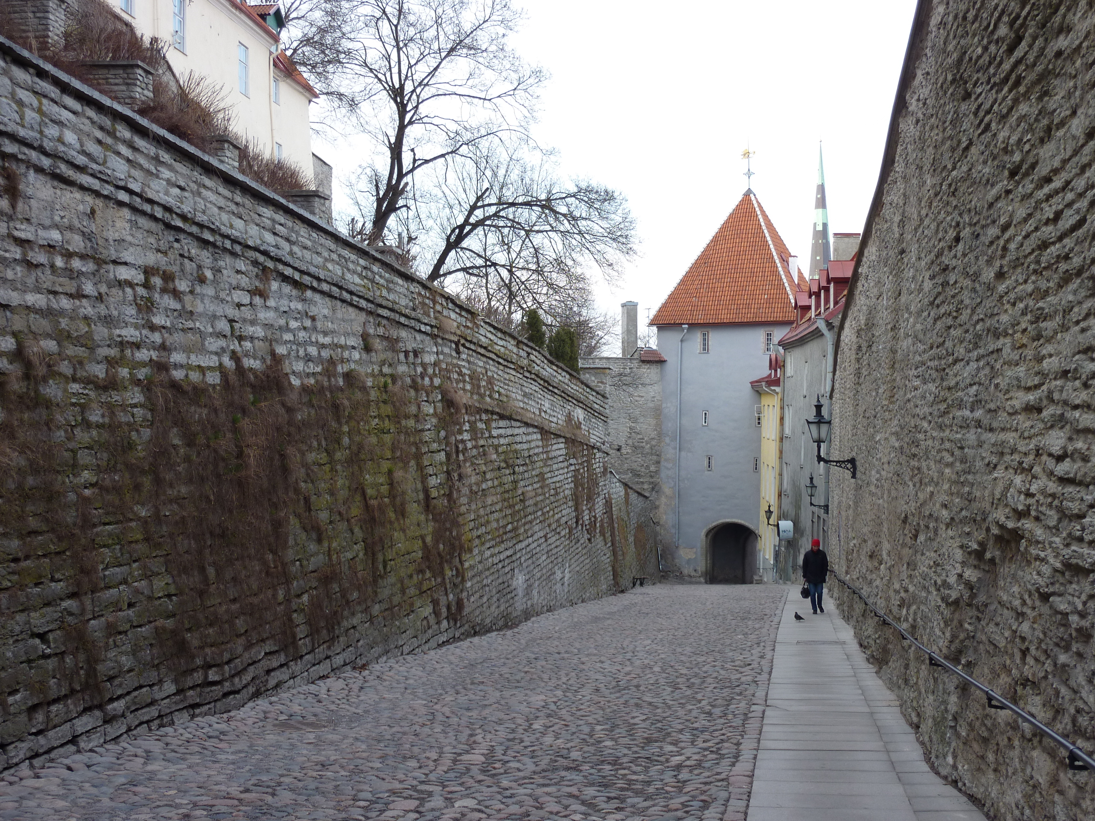 Picture Estonia Tallinn Old Tallinn 2009-04 73 - Discovery Old Tallinn