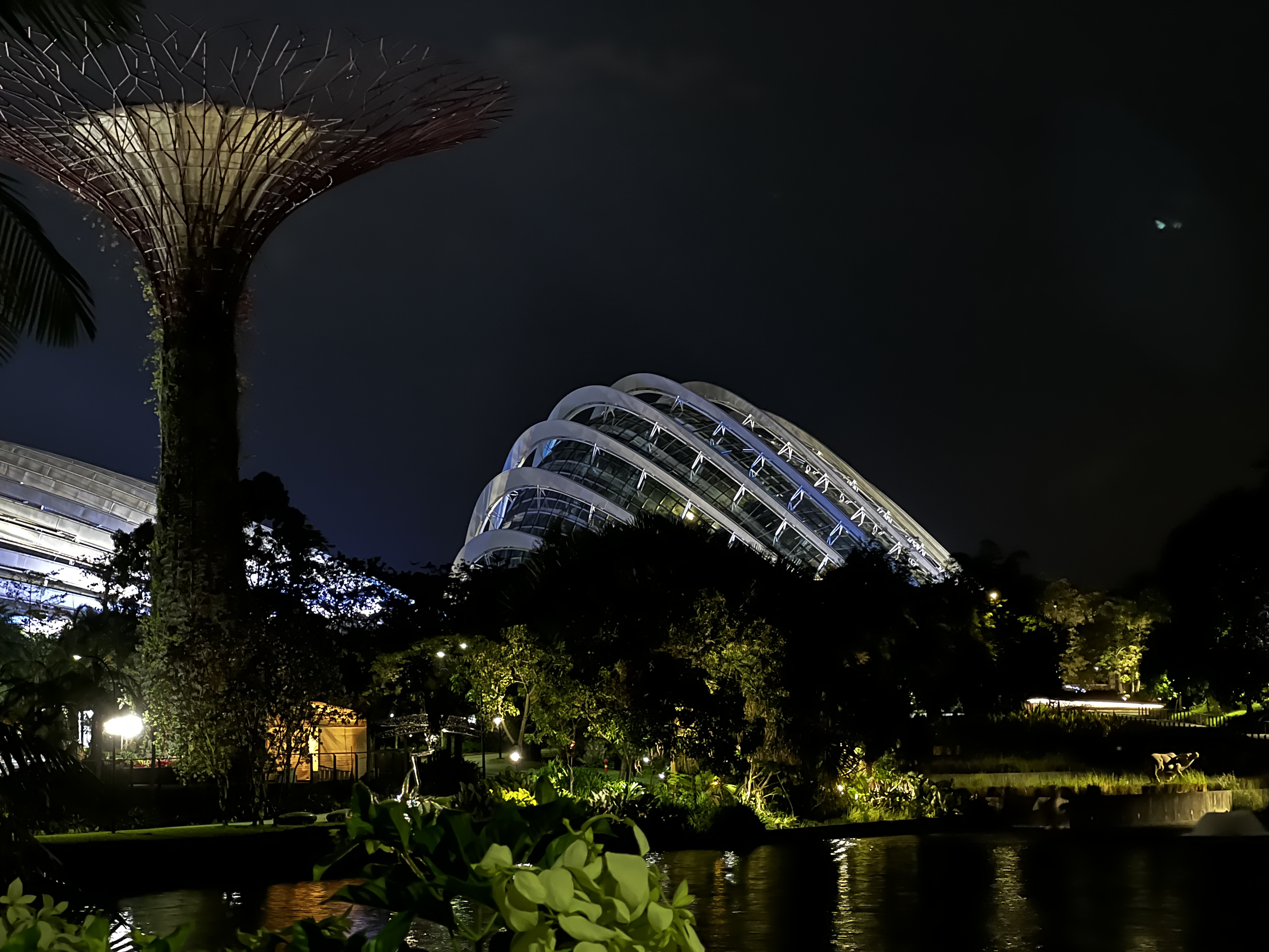 Picture Singapore Garden by the bay 2023-01 19 - Journey Garden by the bay